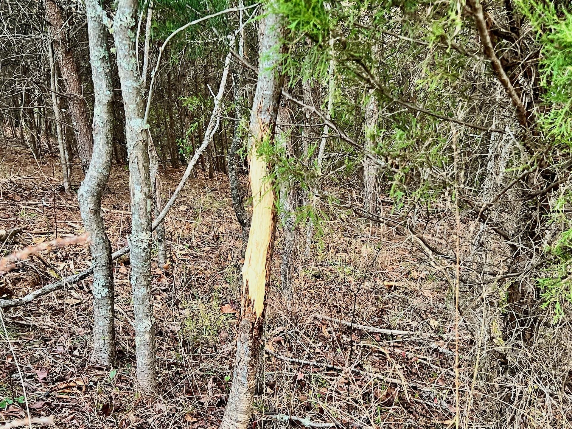 2743 Johnson School Road RD - Photo 14