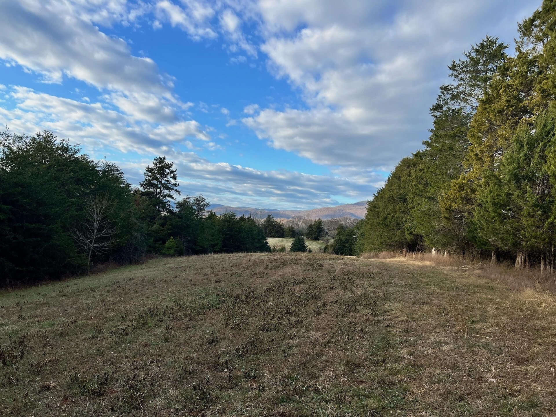 2743 Johnson School Road RD - Photo 15