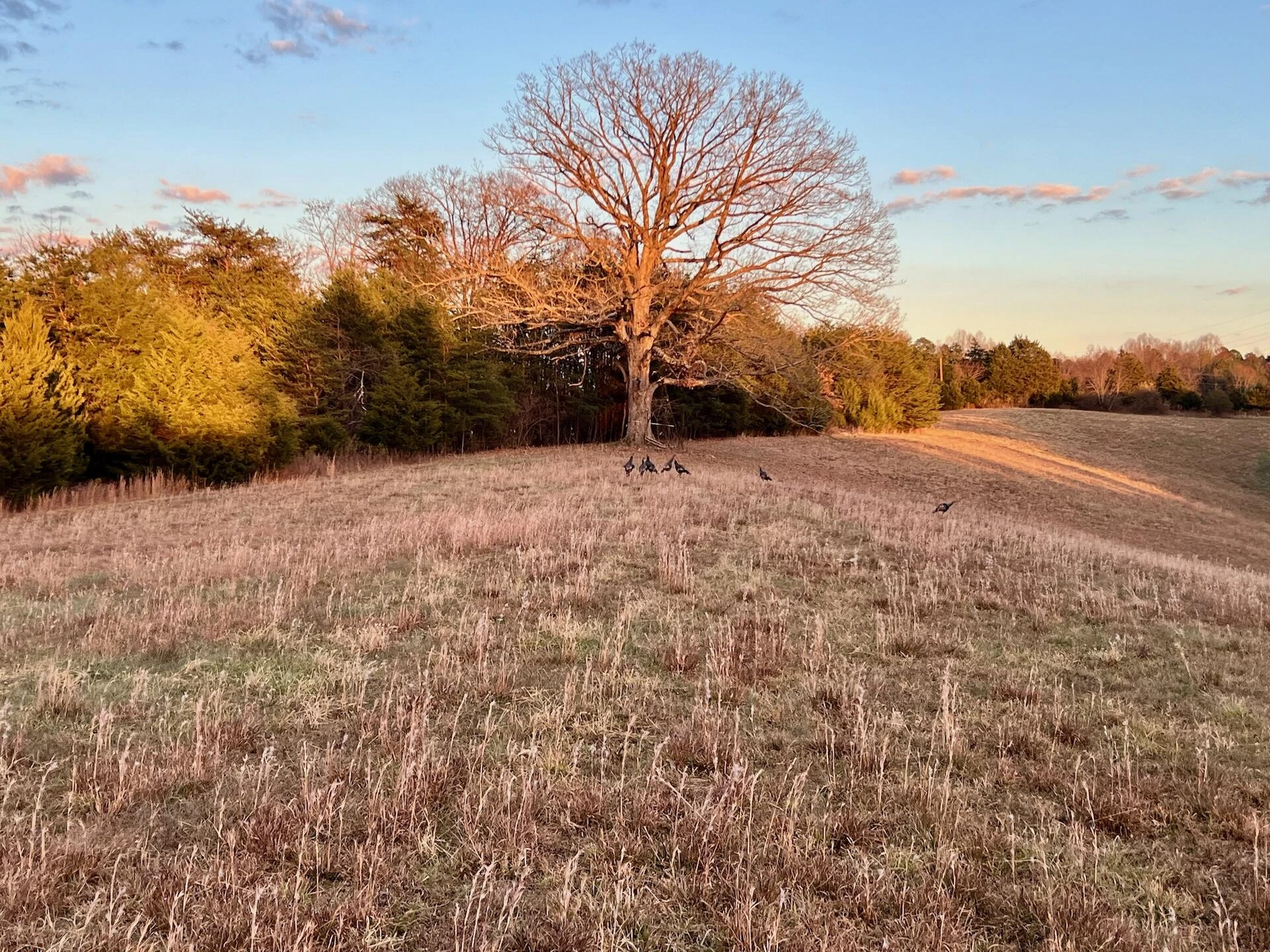 2743 Johnson School Road RD - Photo 16