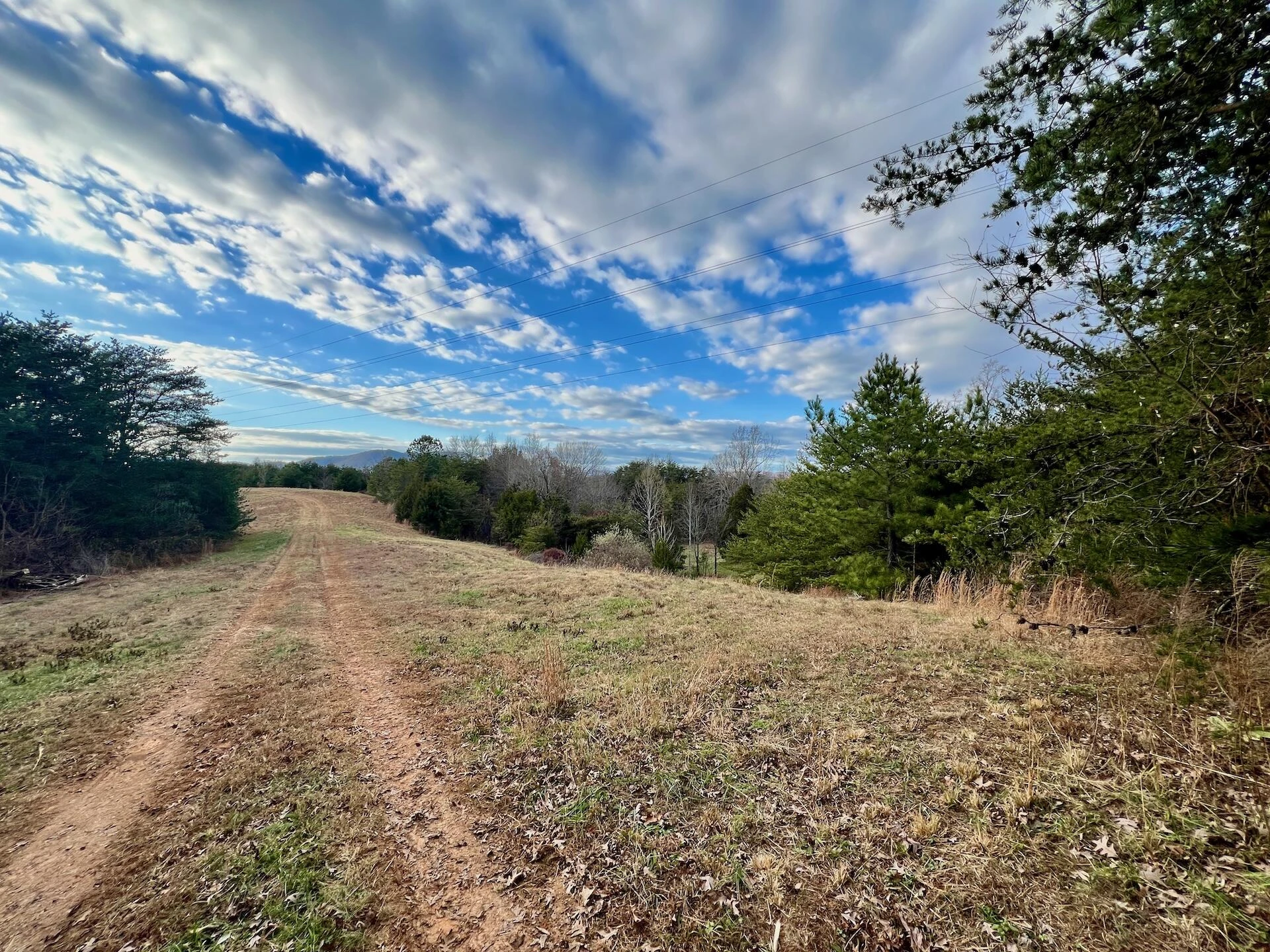 2743 Johnson School Road RD - Photo 31
