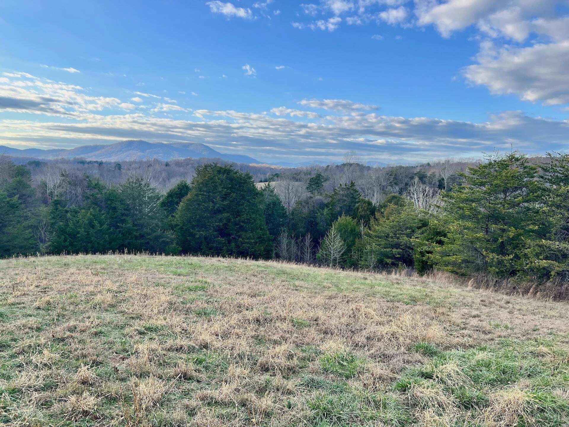 2743 Johnson School Road RD - Photo 35