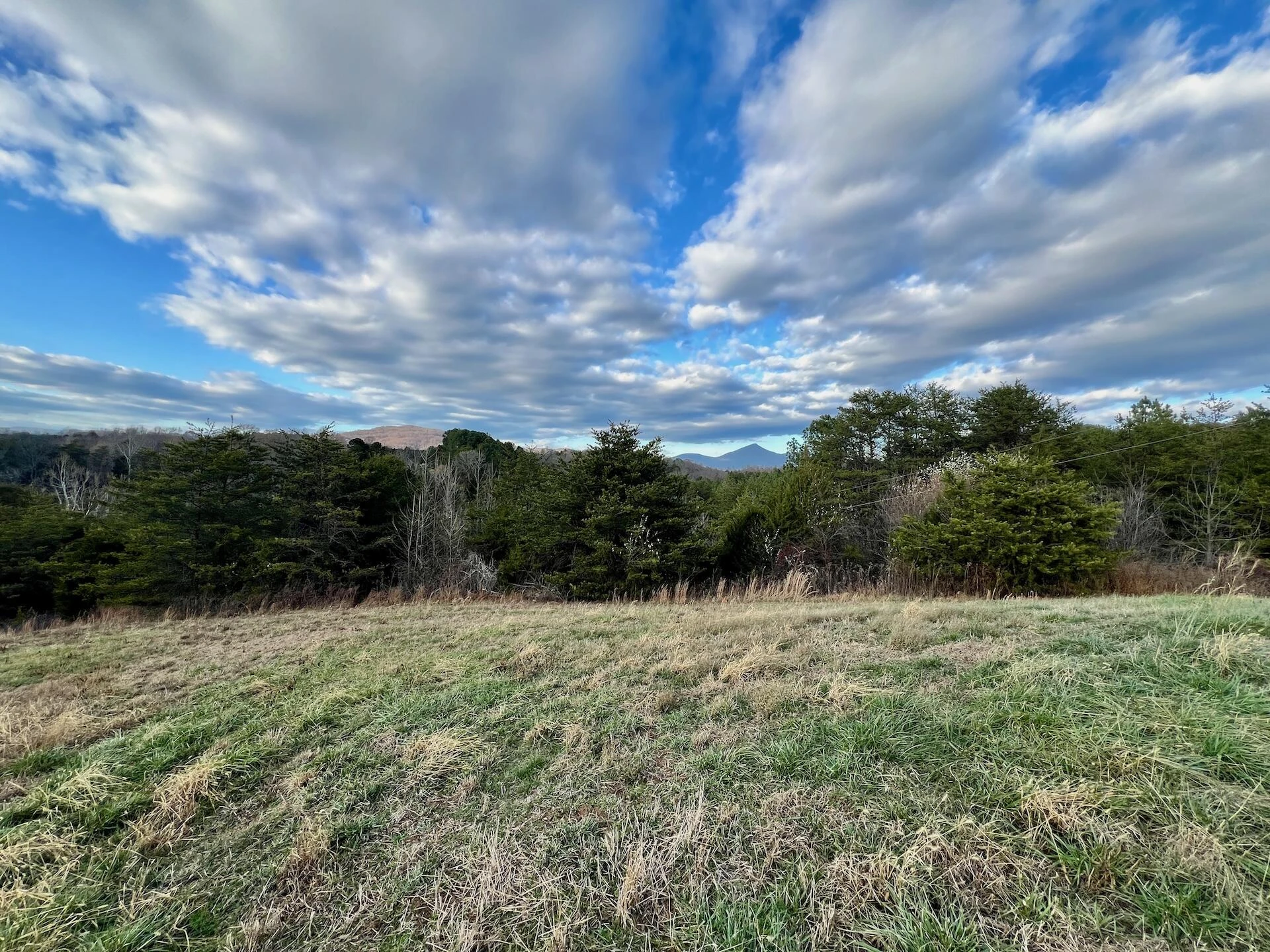 2743 Johnson School Road RD - Photo 37