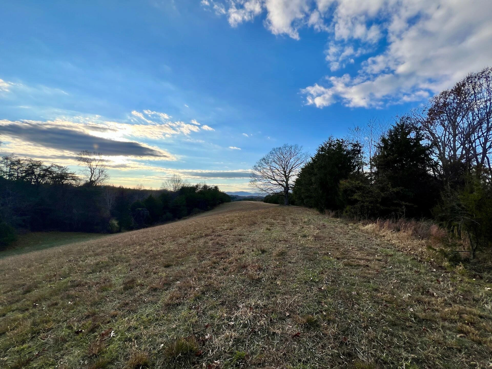 2743 Johnson School Road RD - Photo 38