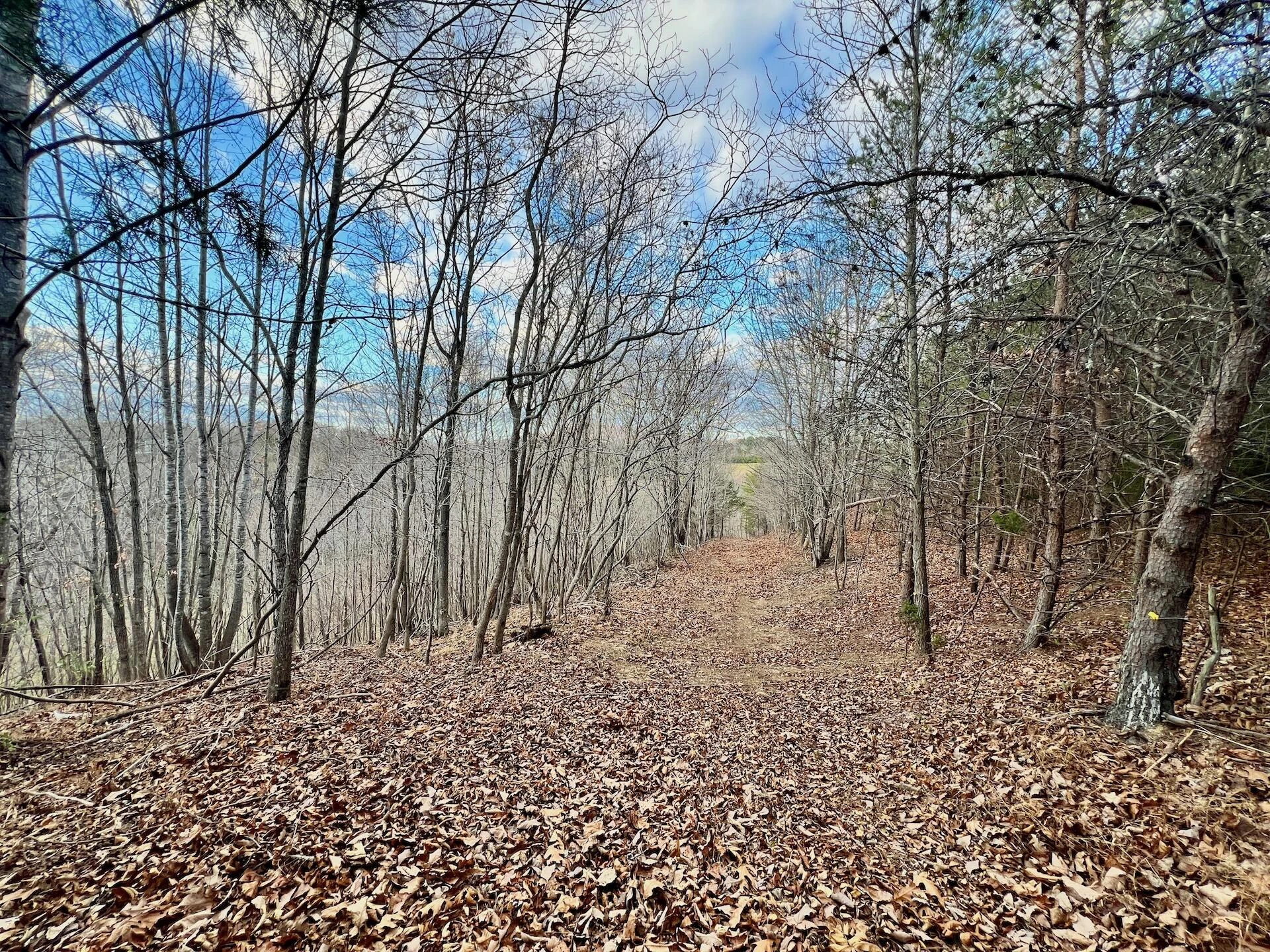 2743 Johnson School Road RD - Photo 39