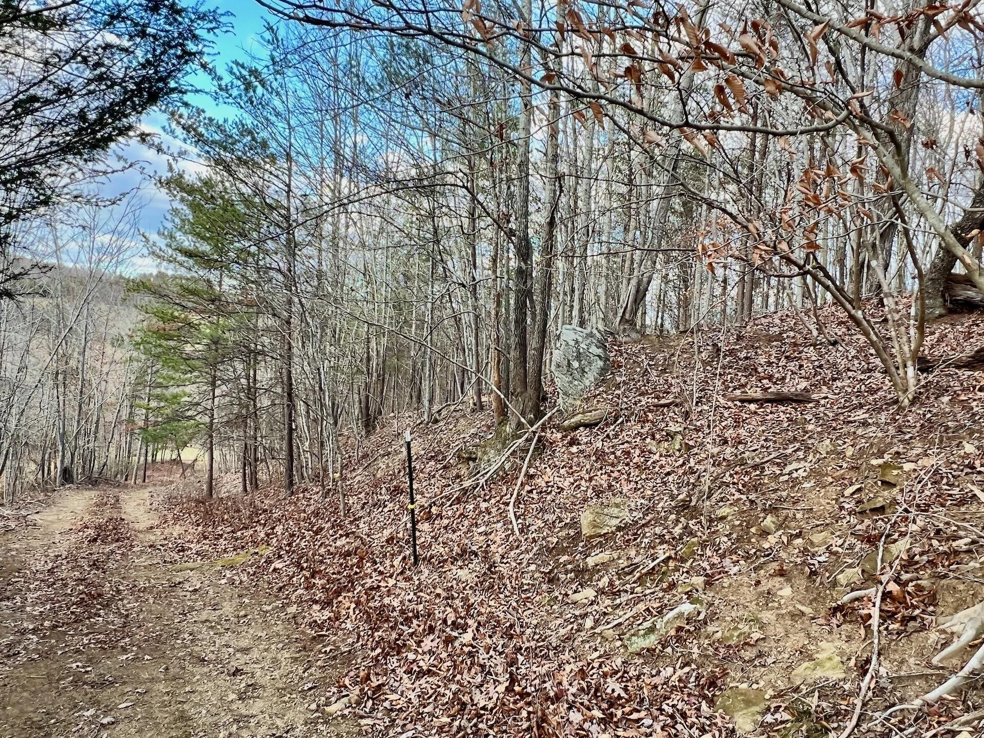 2743 Johnson School Road RD - Photo 40