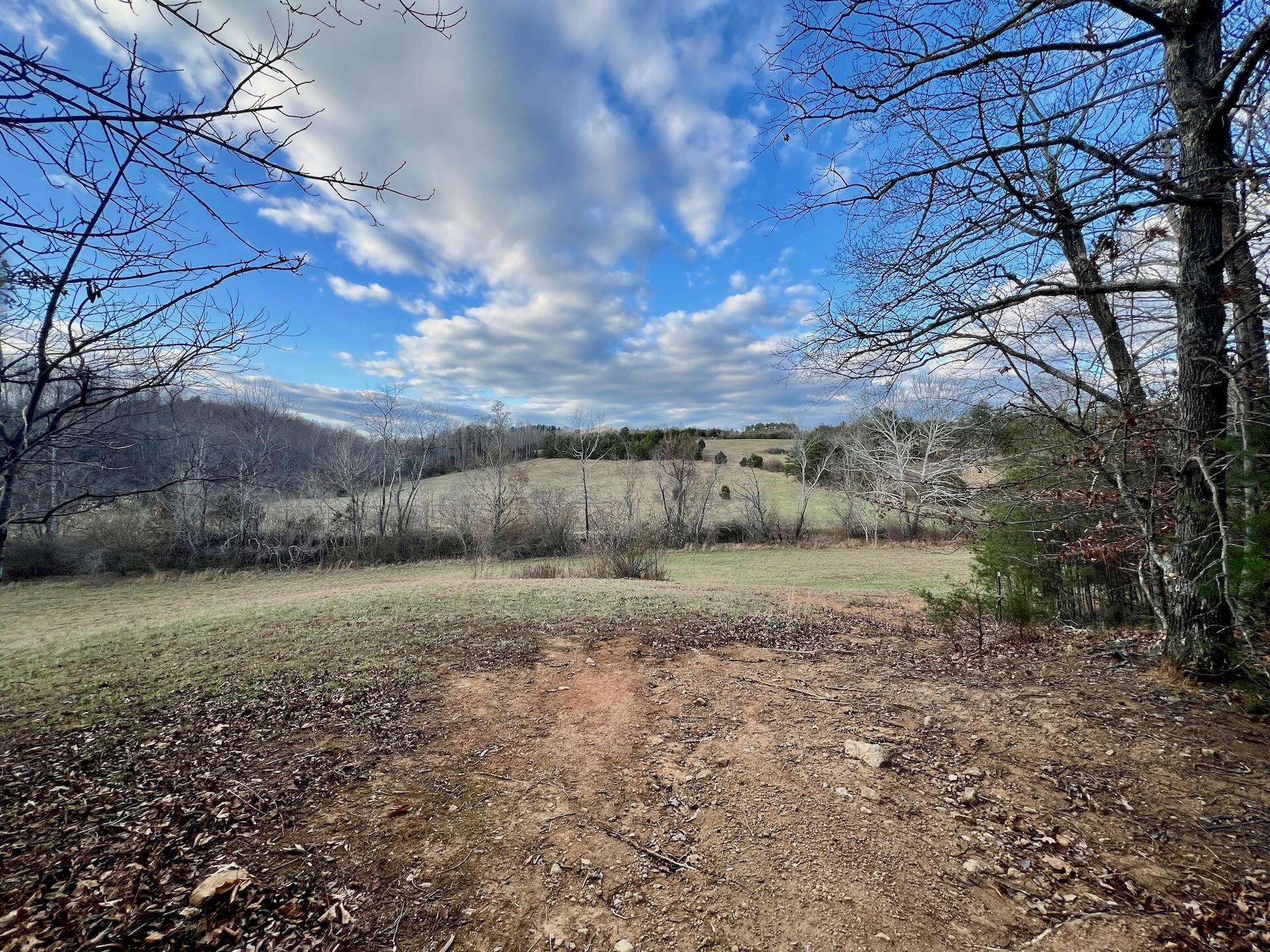 2743 Johnson School Road RD - Photo 41