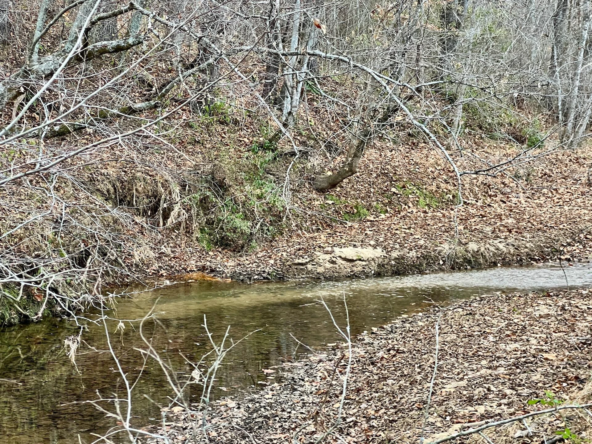 2743 Johnson School Road RD - Photo 44
