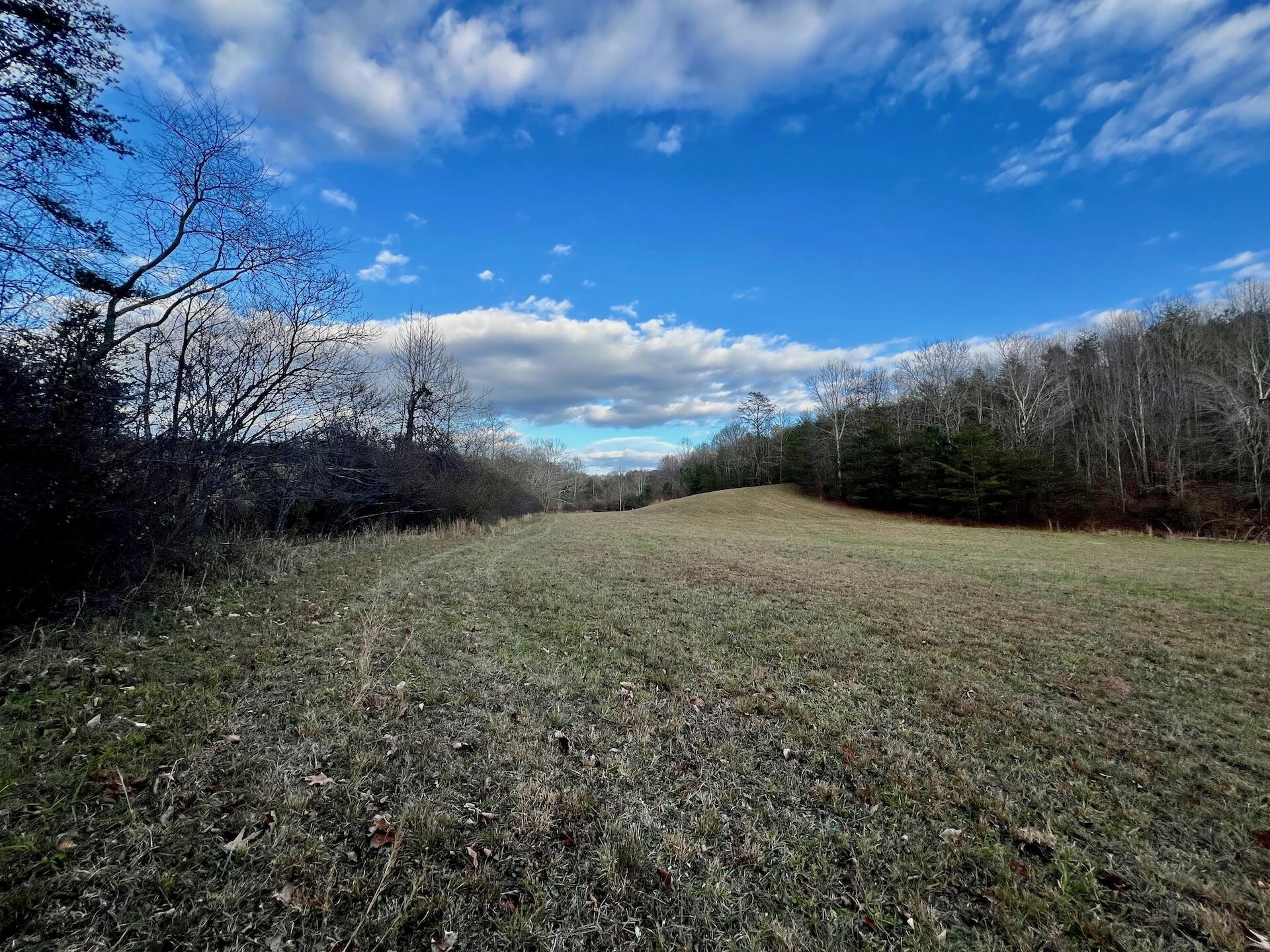 2743 Johnson School Road RD - Photo 45