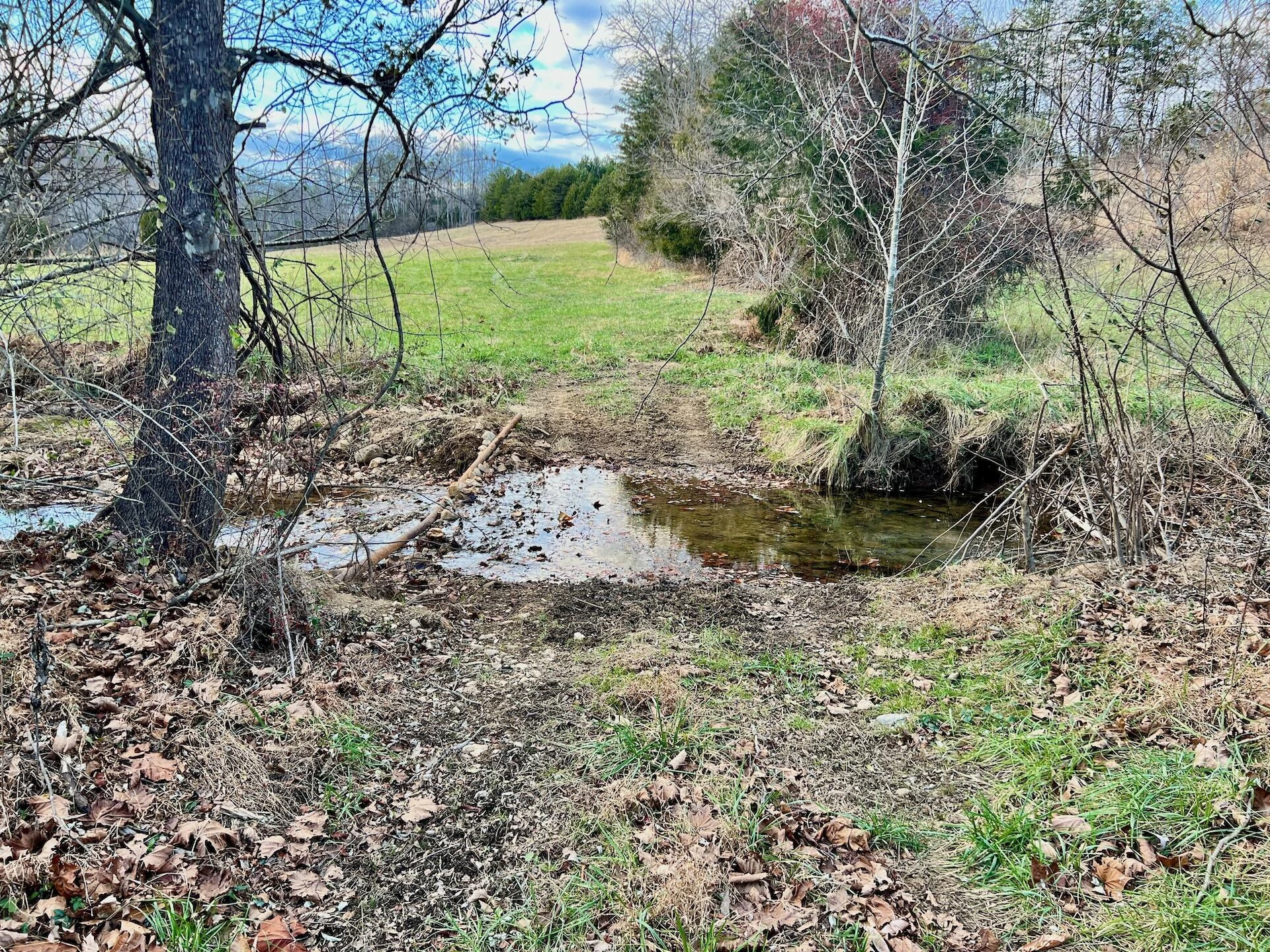 2743 Johnson School Road RD - Photo 46