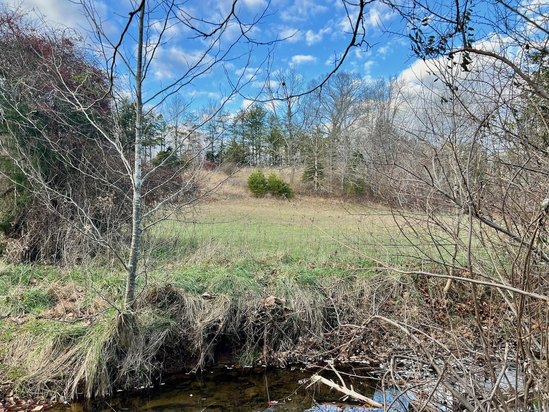 2743 Johnson School Road RD - Photo 47