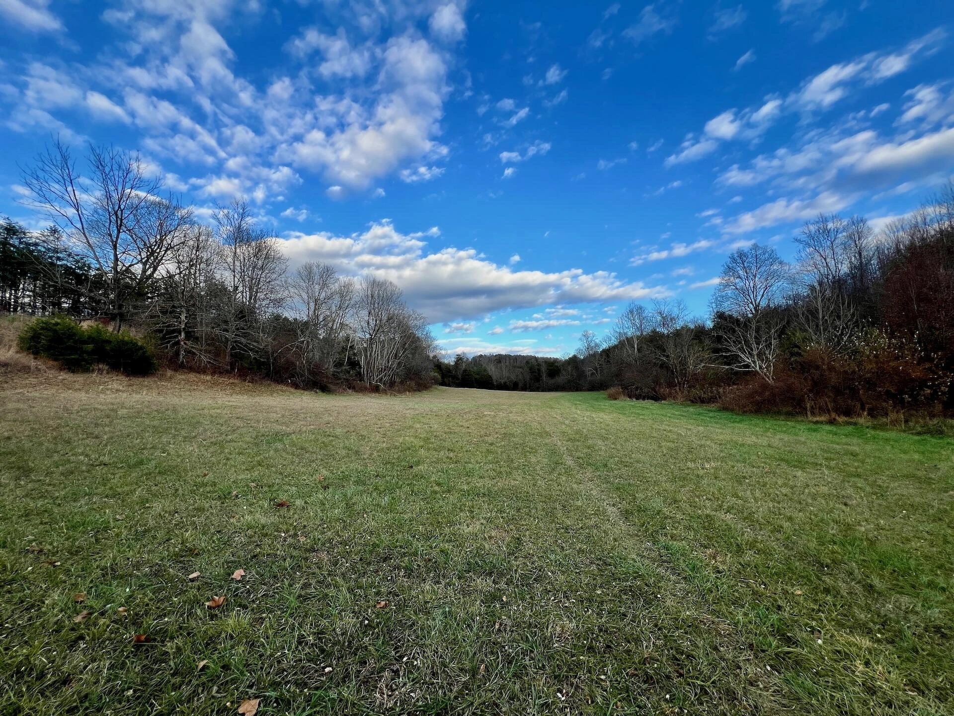 2743 Johnson School Road RD - Photo 48