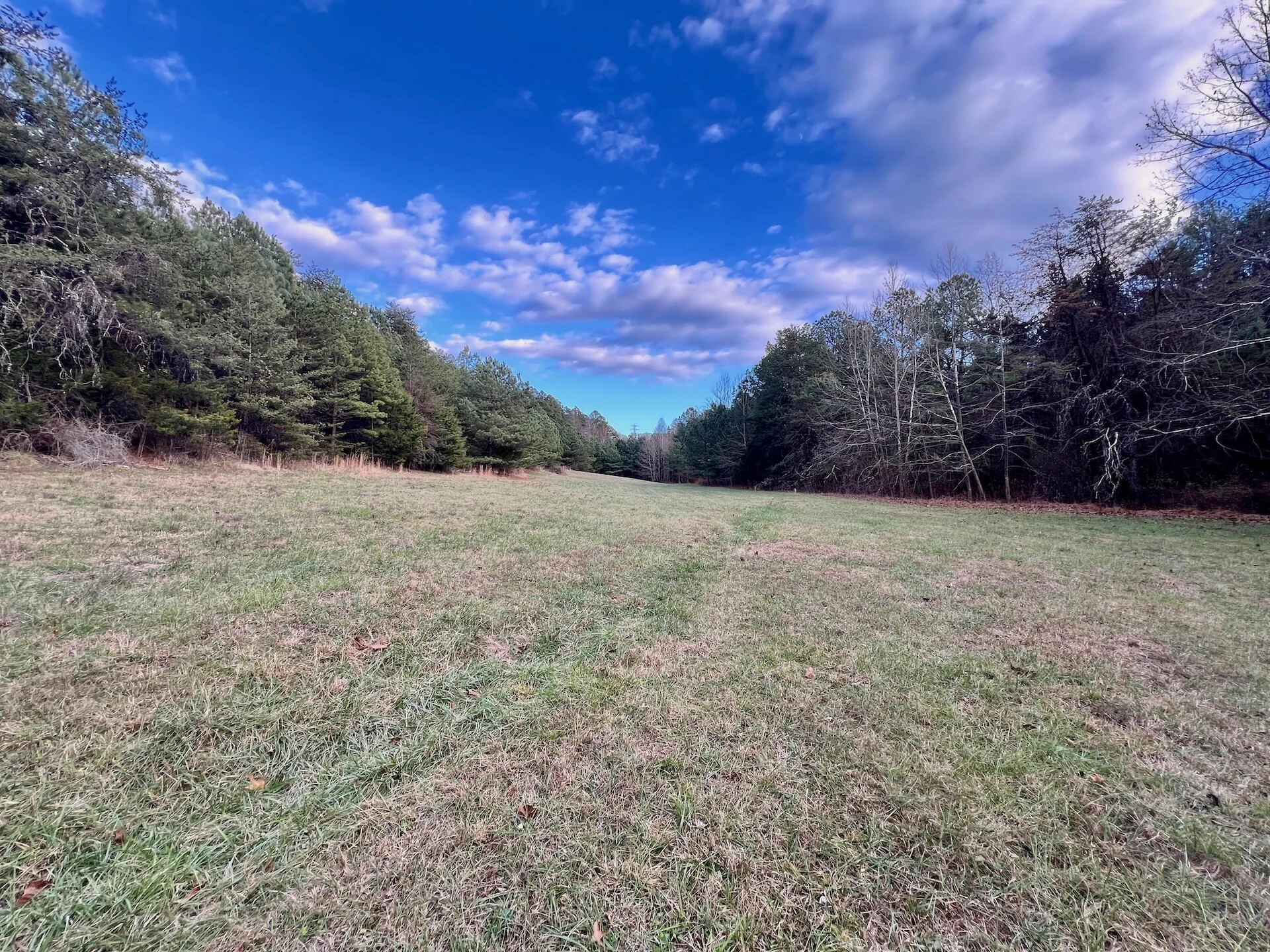 2743 Johnson School Road RD - Photo 50