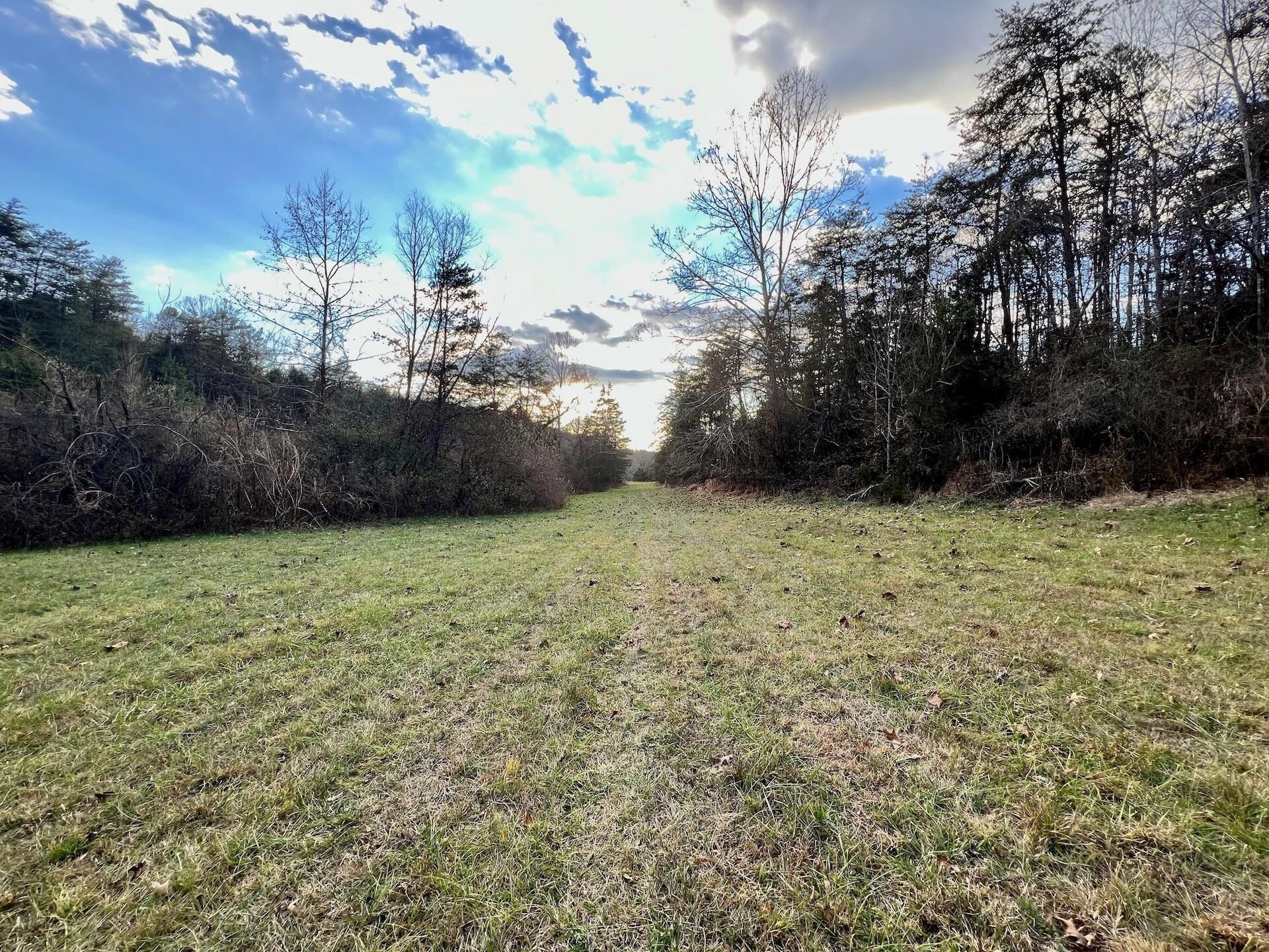 2743 Johnson School Road RD - Photo 52