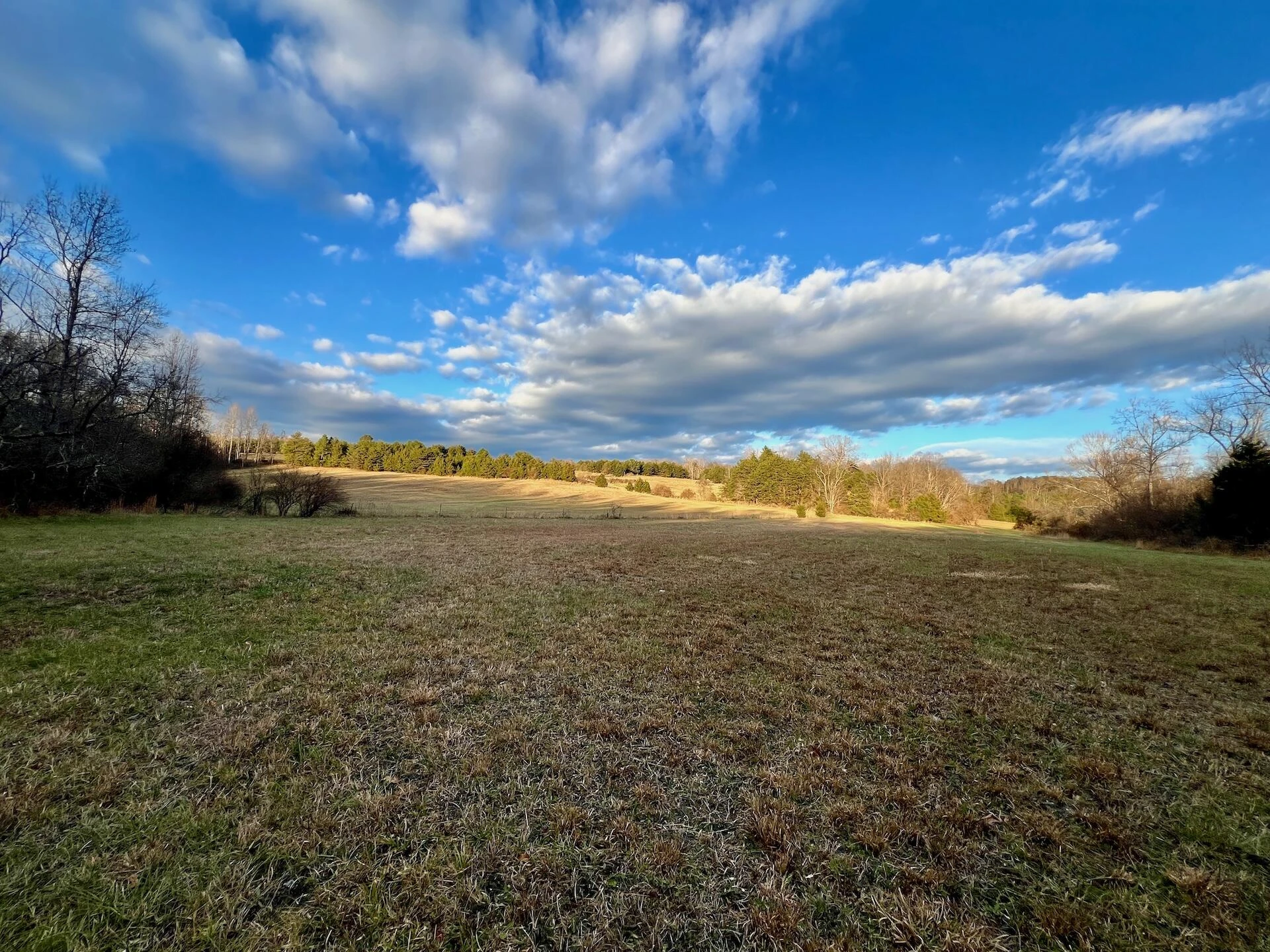 2743 Johnson School Road RD - Photo 53