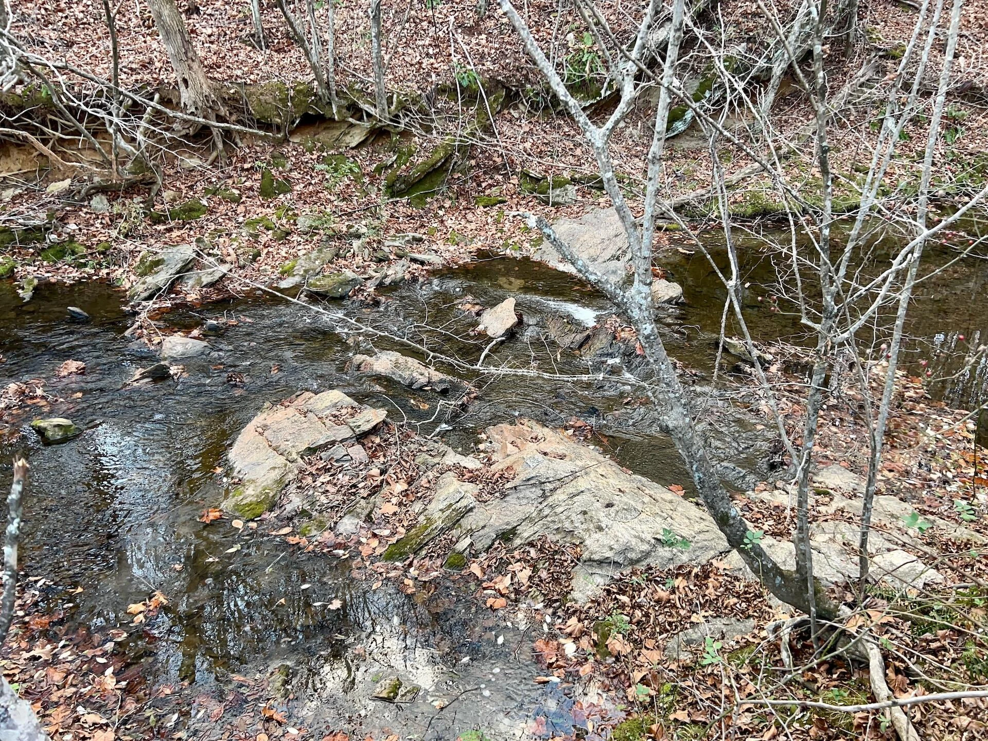 2743 Johnson School Road RD - Photo 55