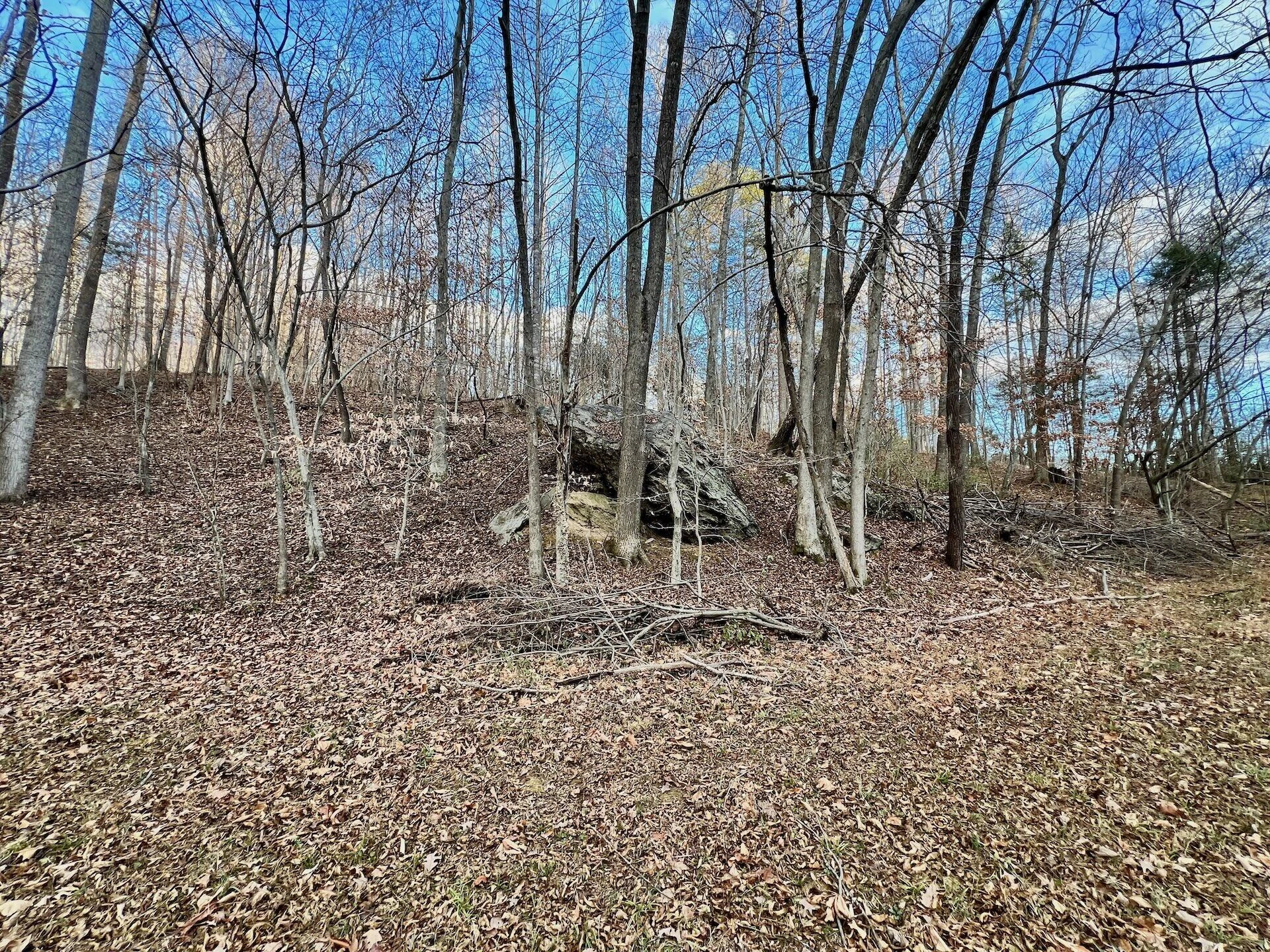 2743 Johnson School Road RD - Photo 58