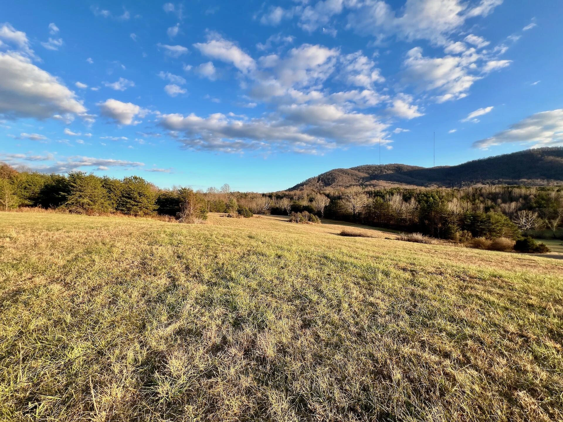 2743 Johnson School Road RD - Photo 60
