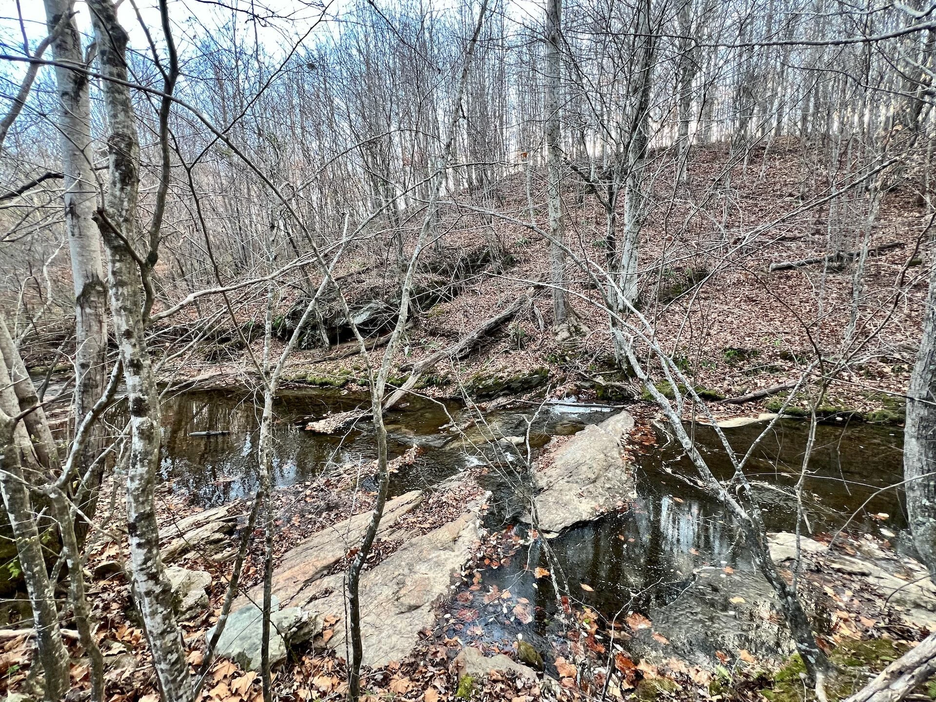 2743 Johnson School Road RD - Photo 7