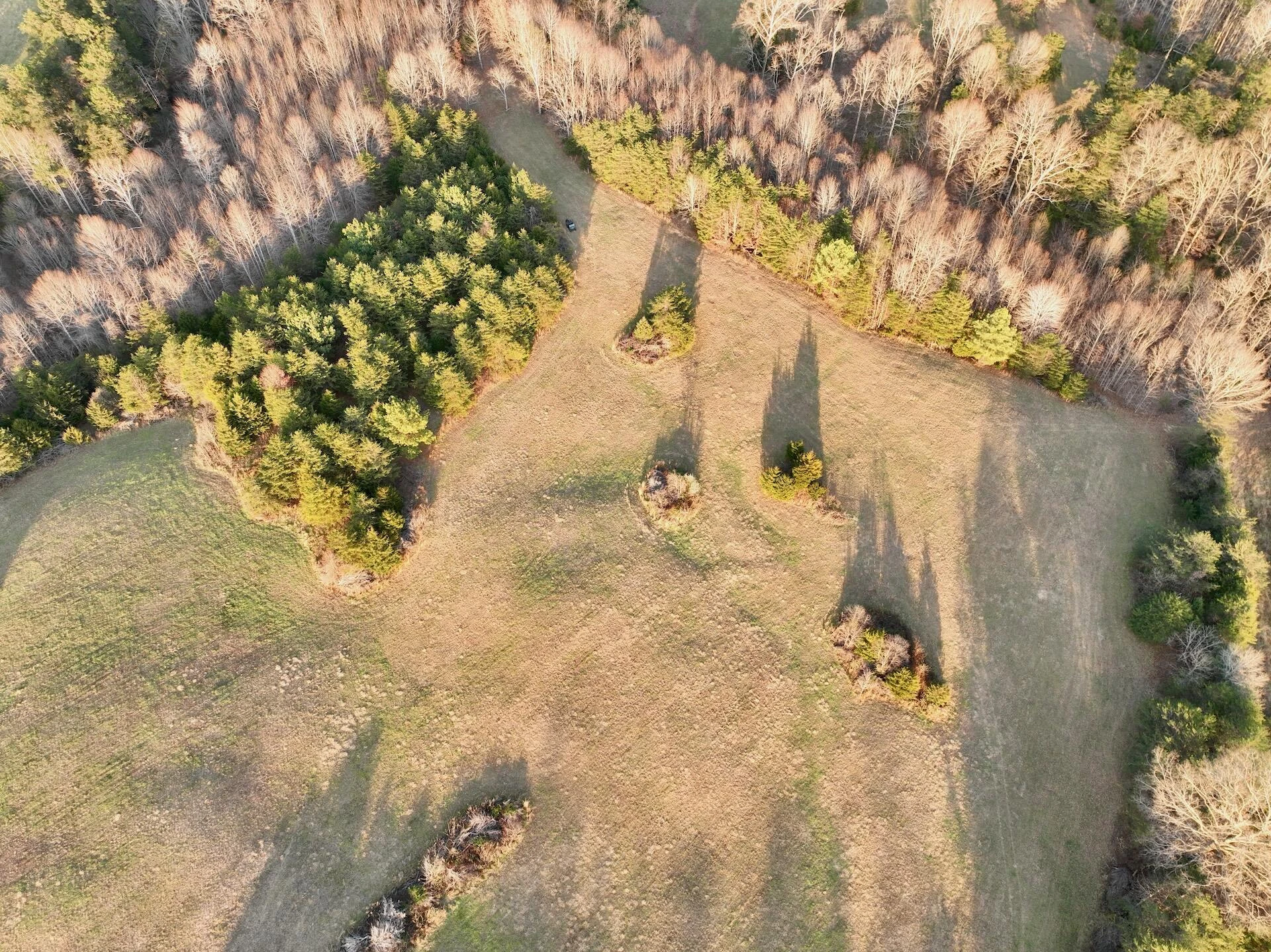 2743 Johnson School Road RD - Photo 76