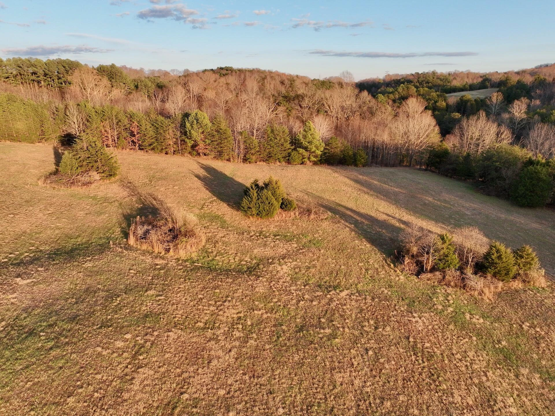 2743 Johnson School Road RD - Photo 78
