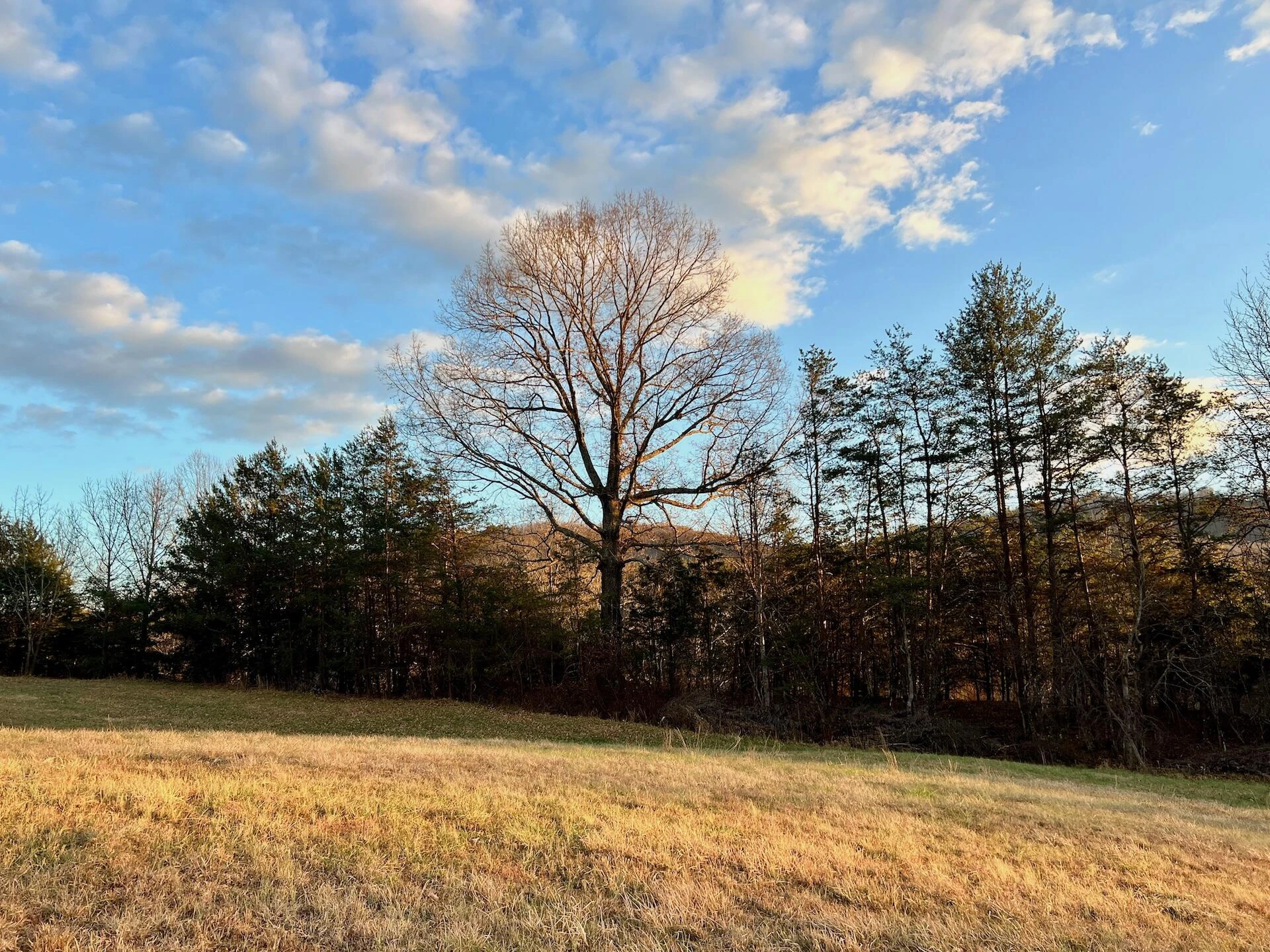 2743 Johnson School Road RD - Photo 79