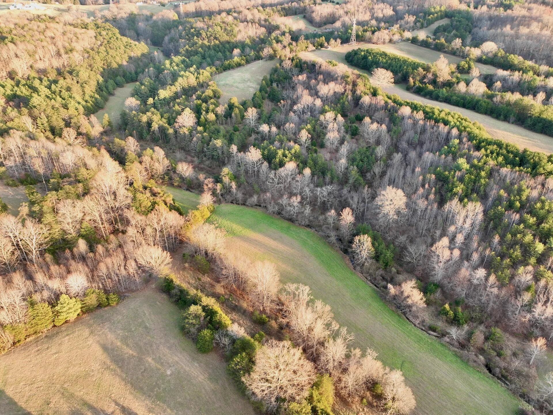 2743 Johnson School Road RD - Photo 8