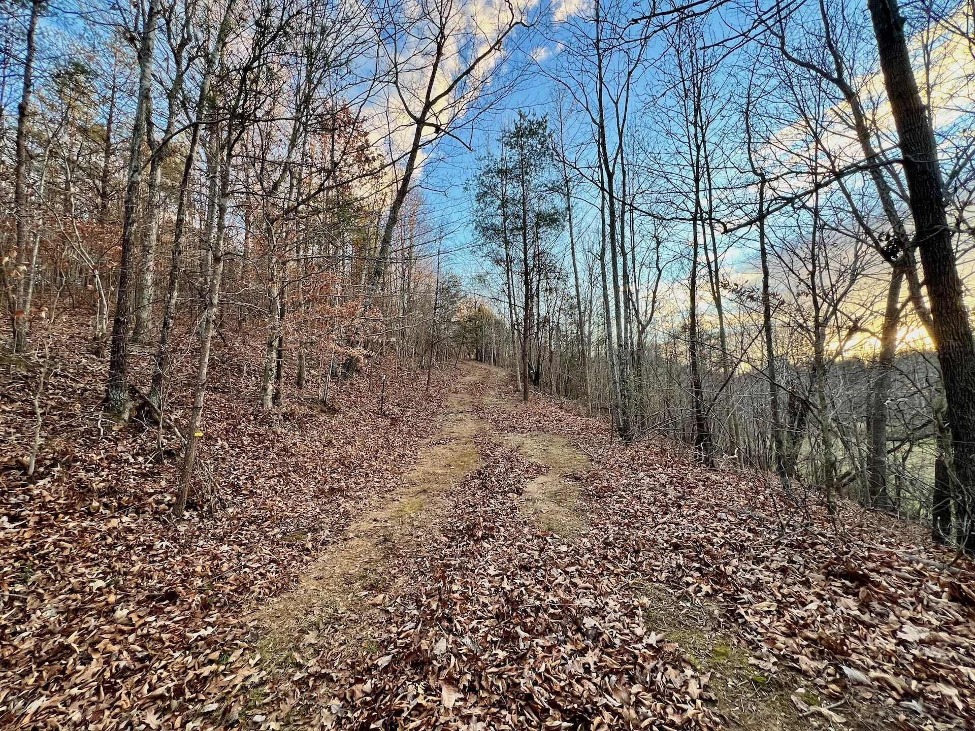 2743 Johnson School Road RD - Photo 80