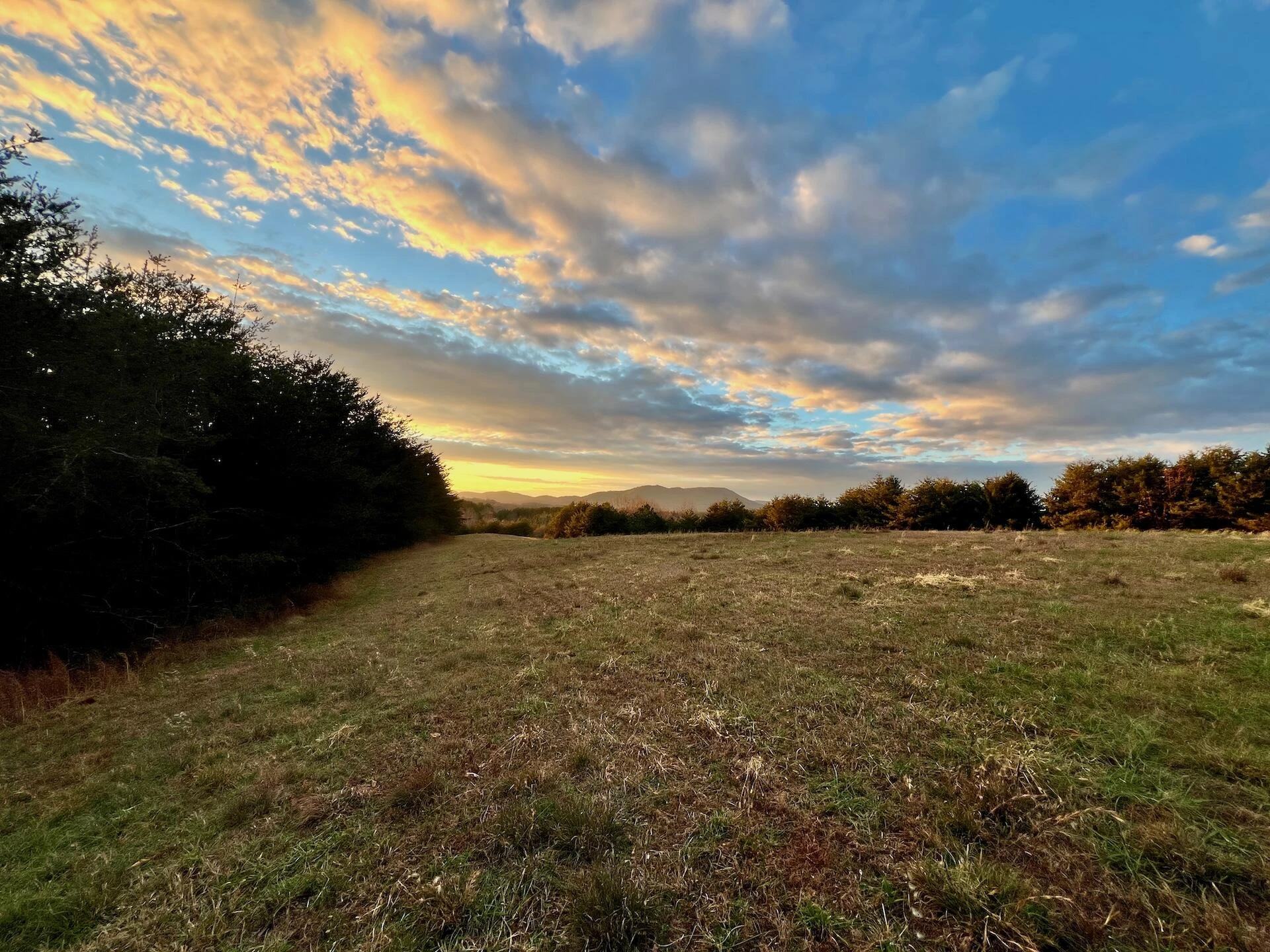 2743 Johnson School Road RD - Photo 81