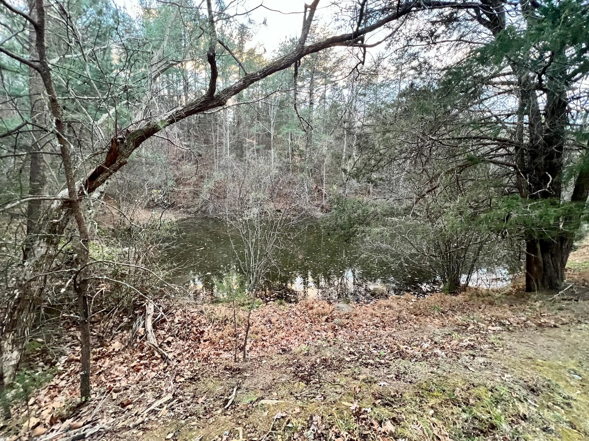 2743 Johnson School Road RD - Photo 83