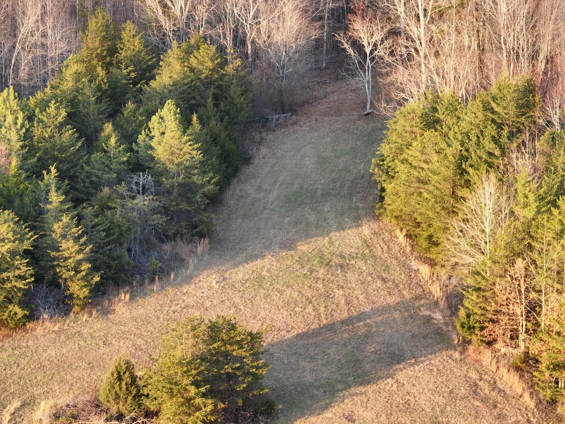2743 Johnson School Road RD - Photo 88