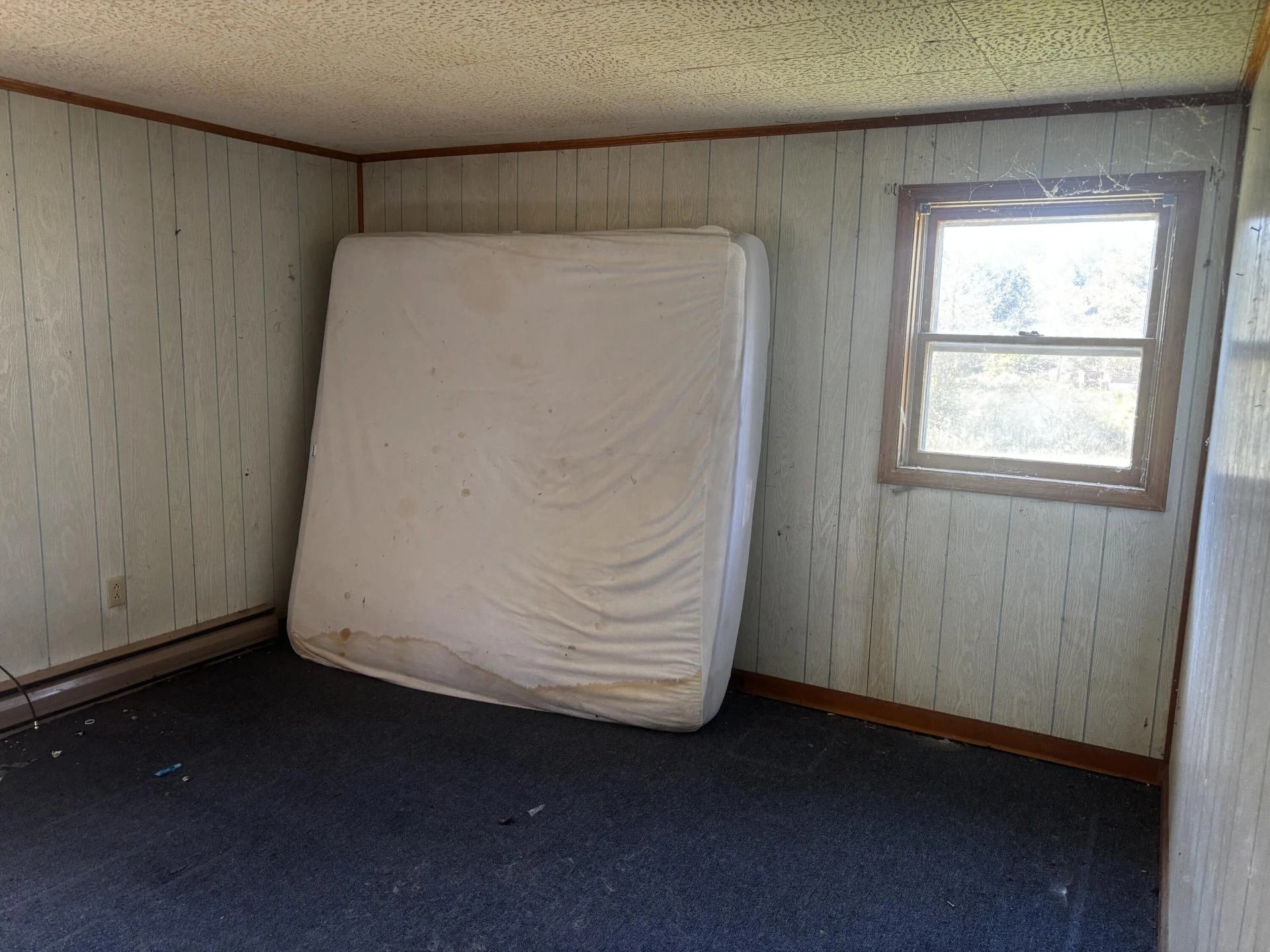 375 Barberry RD SE - Photo 35