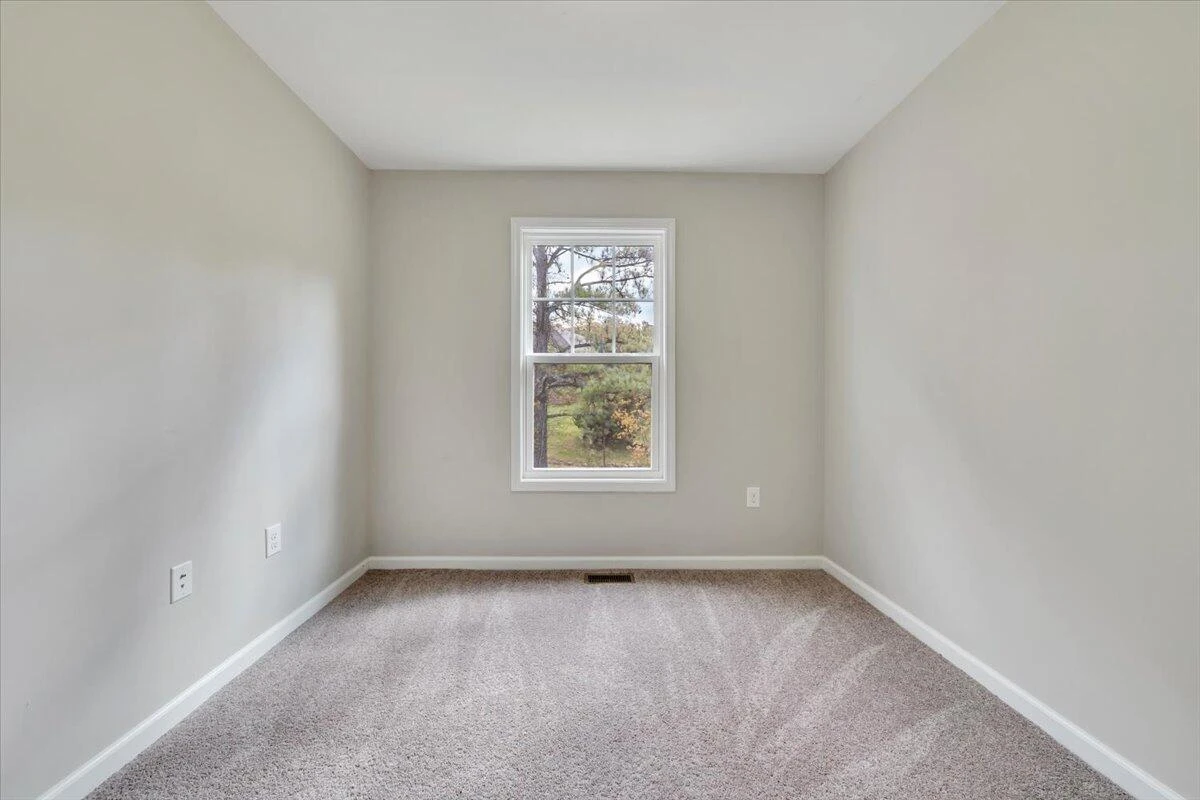 4259 Hannah Belle WAY - Photo 18