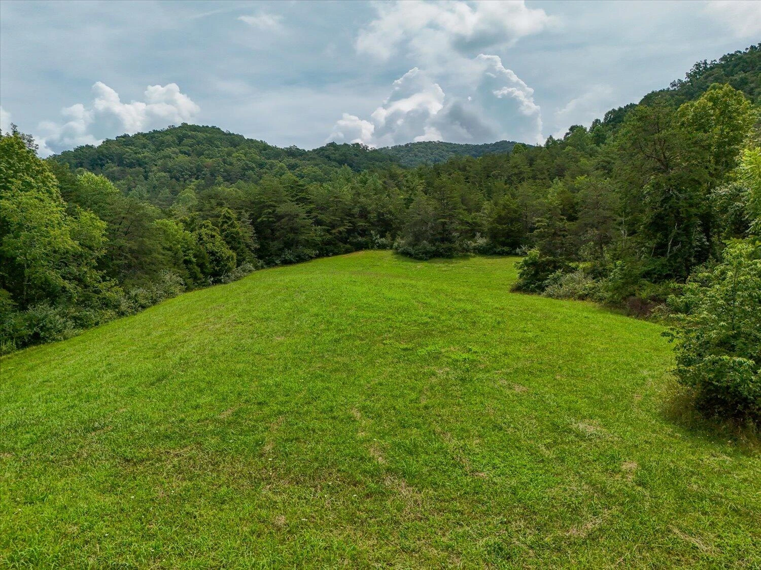 8580 Blacksburg RD - Photo 41