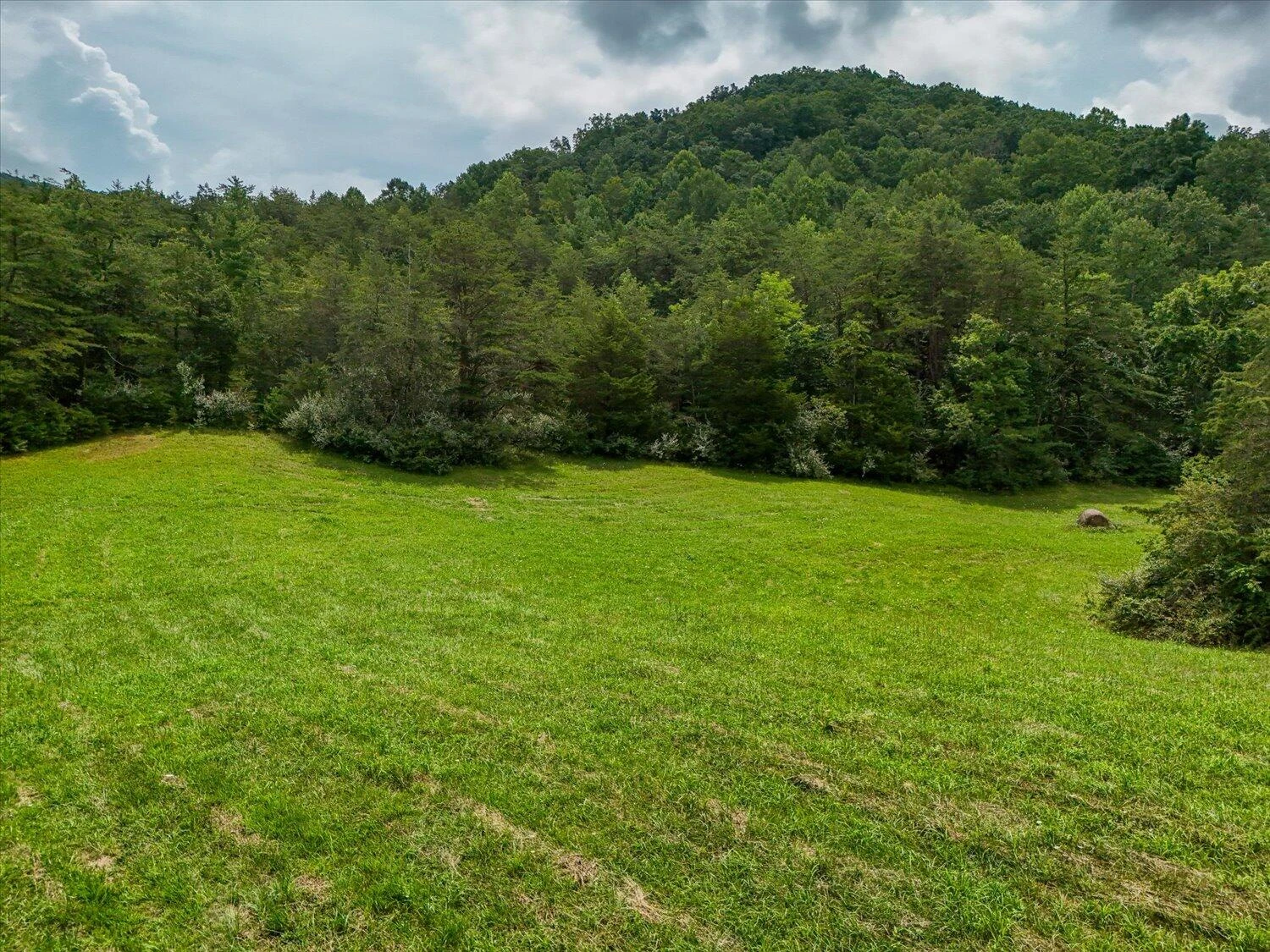 8580 Blacksburg RD - Photo 43