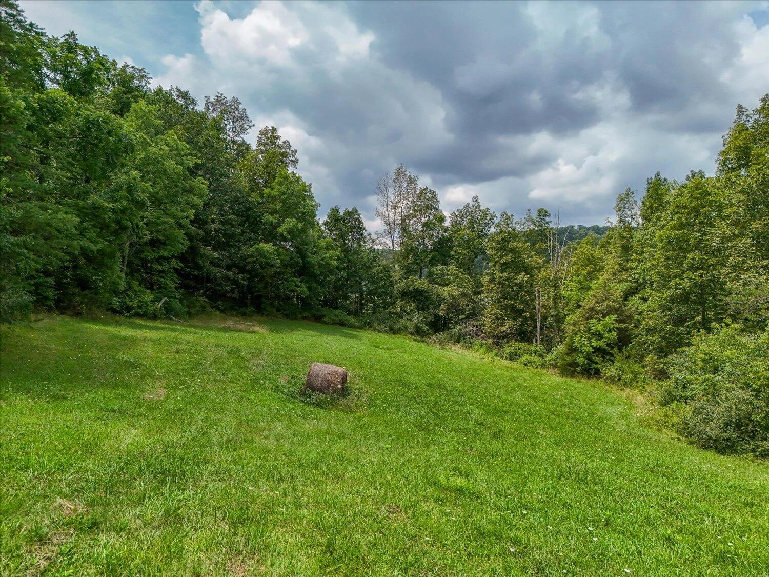 8580 Blacksburg RD - Photo 44