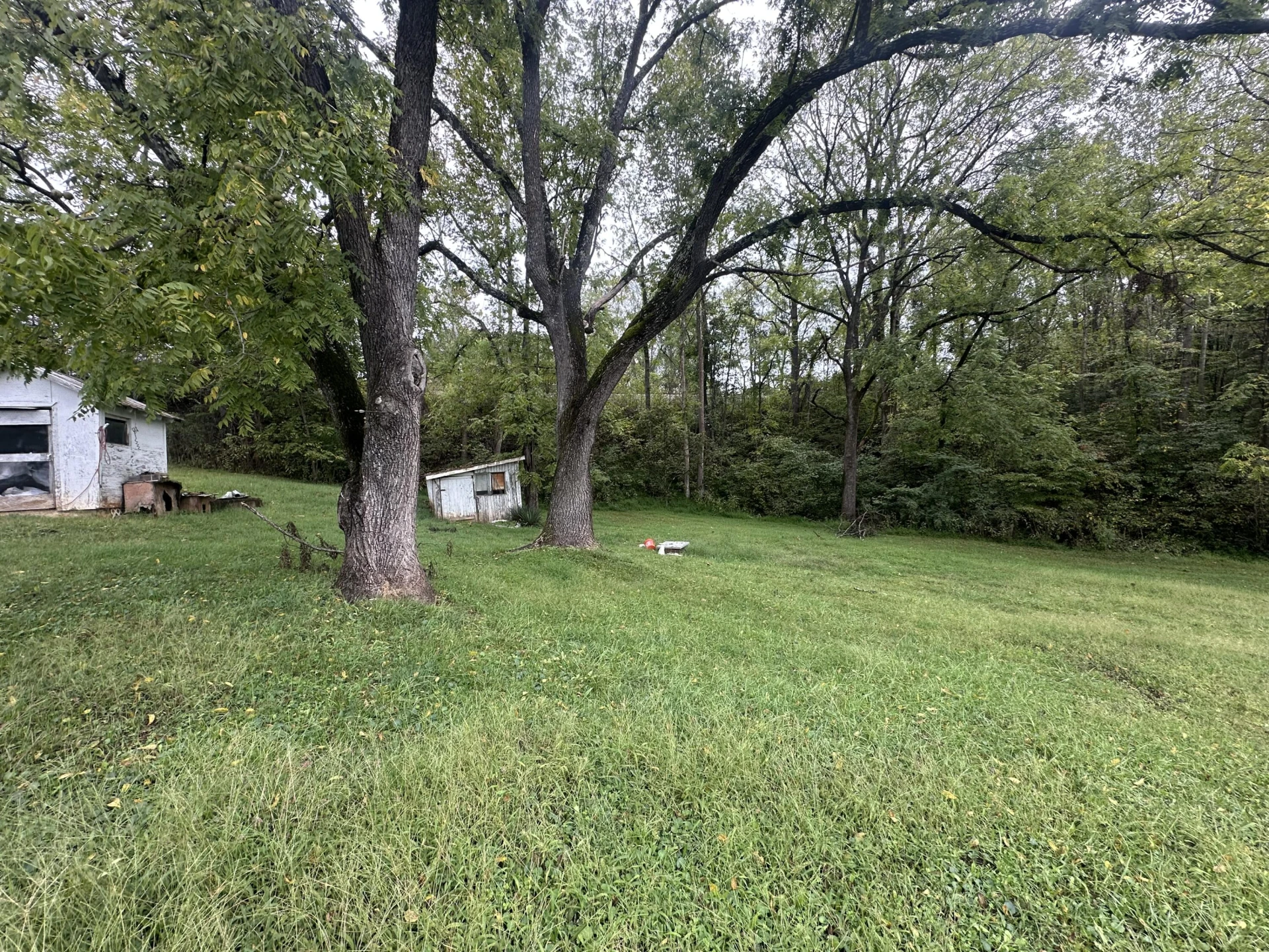 247 Trestle RD - Photo 5