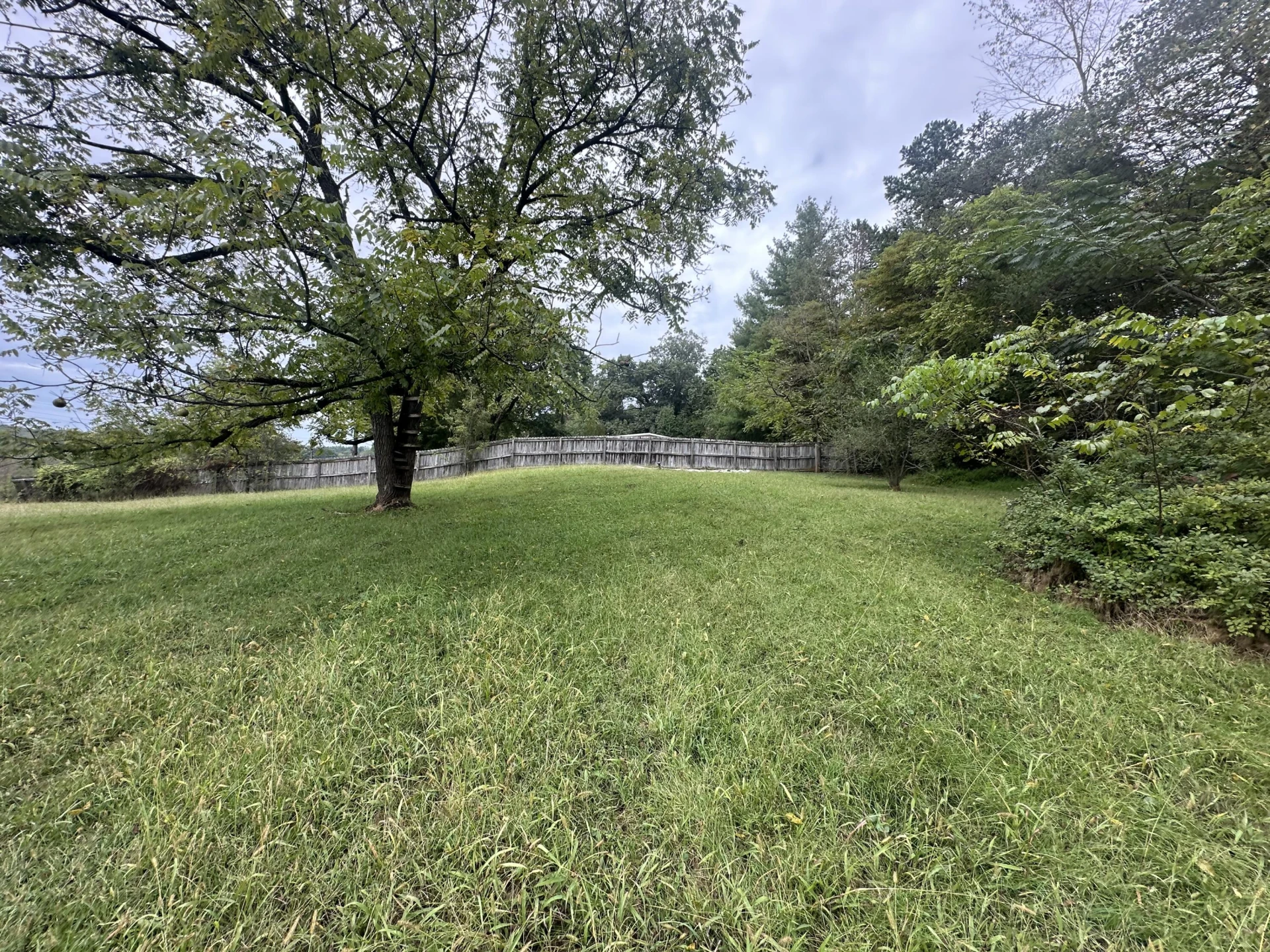 247 Trestle RD - Photo 9