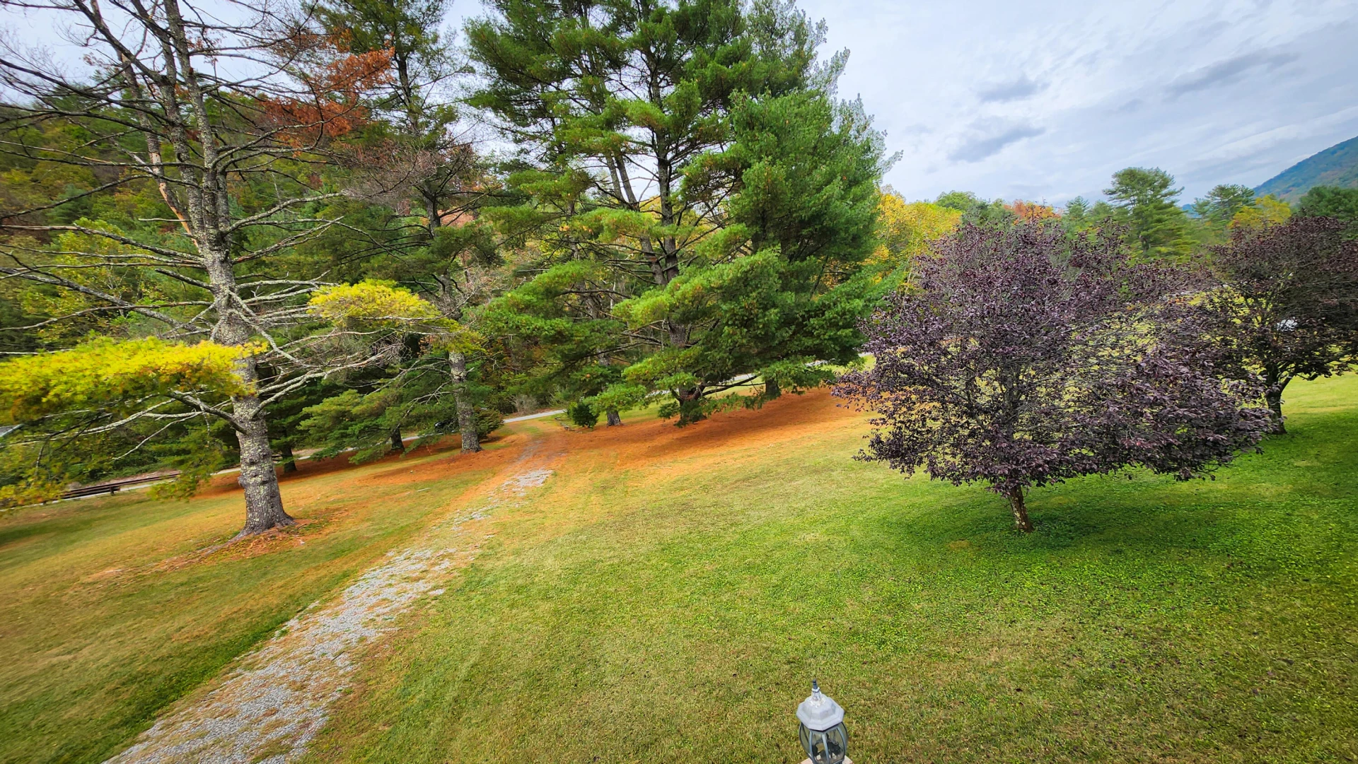 1015 Bolars Draft RD - Photo 15