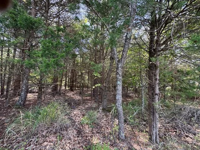 0 Bluewater DR - Photo 4