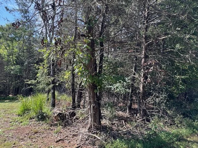 0 Bluewater DR - Photo 6