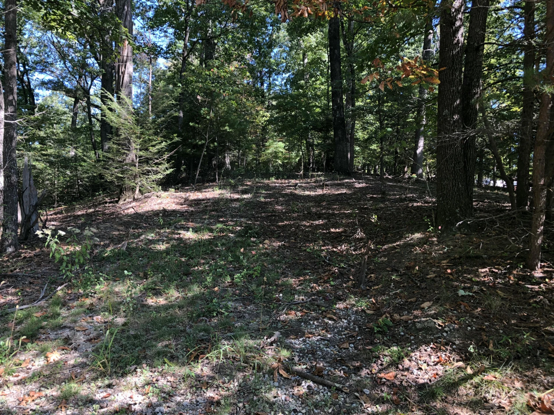 3287 Green Ridge RD - Photo 12