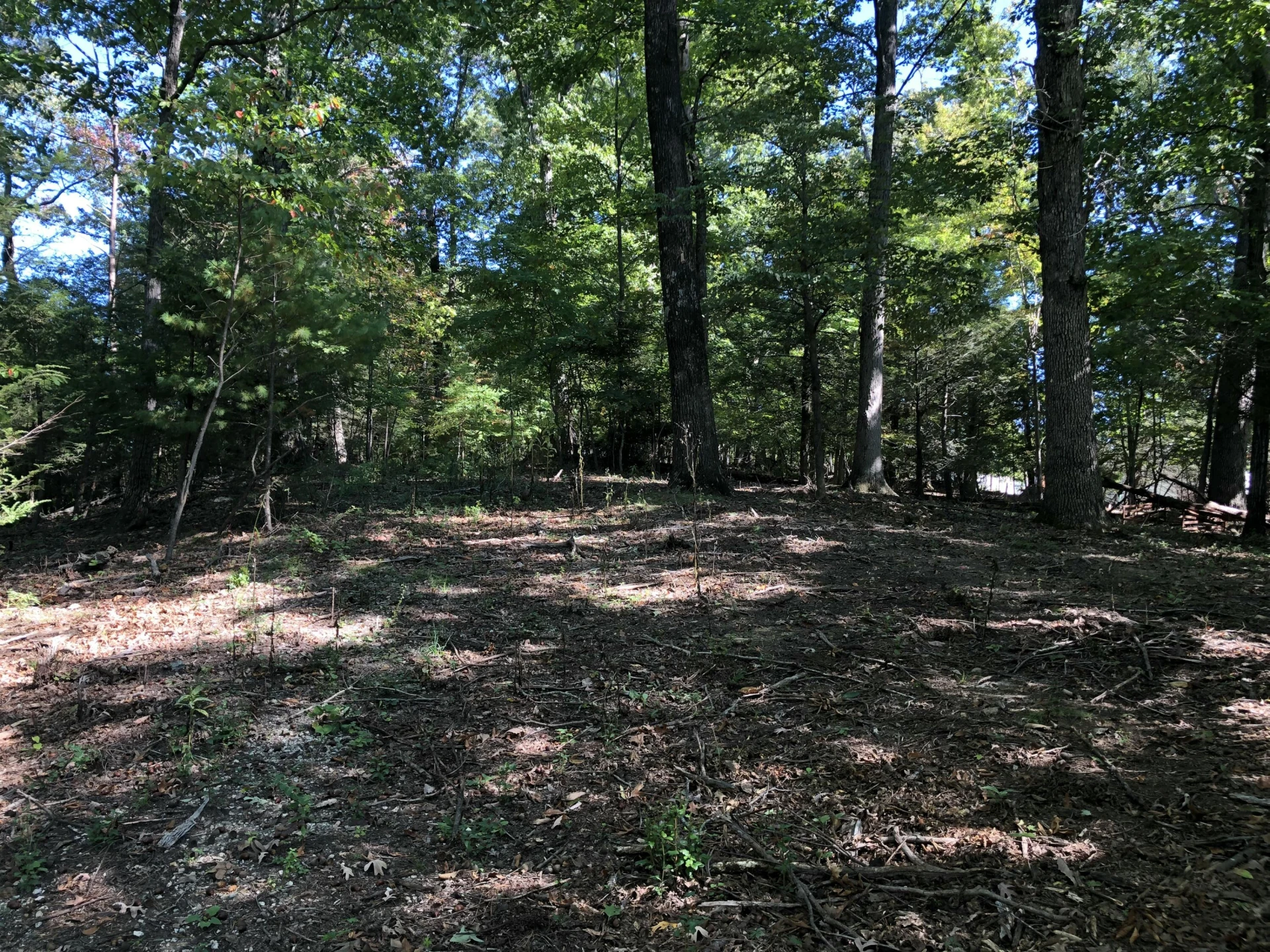 3287 Green Ridge RD - Photo 13
