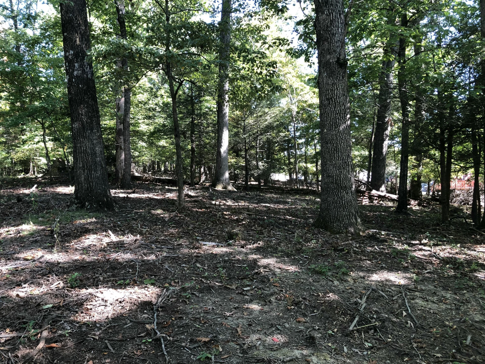 3287 Green Ridge RD - Photo 15