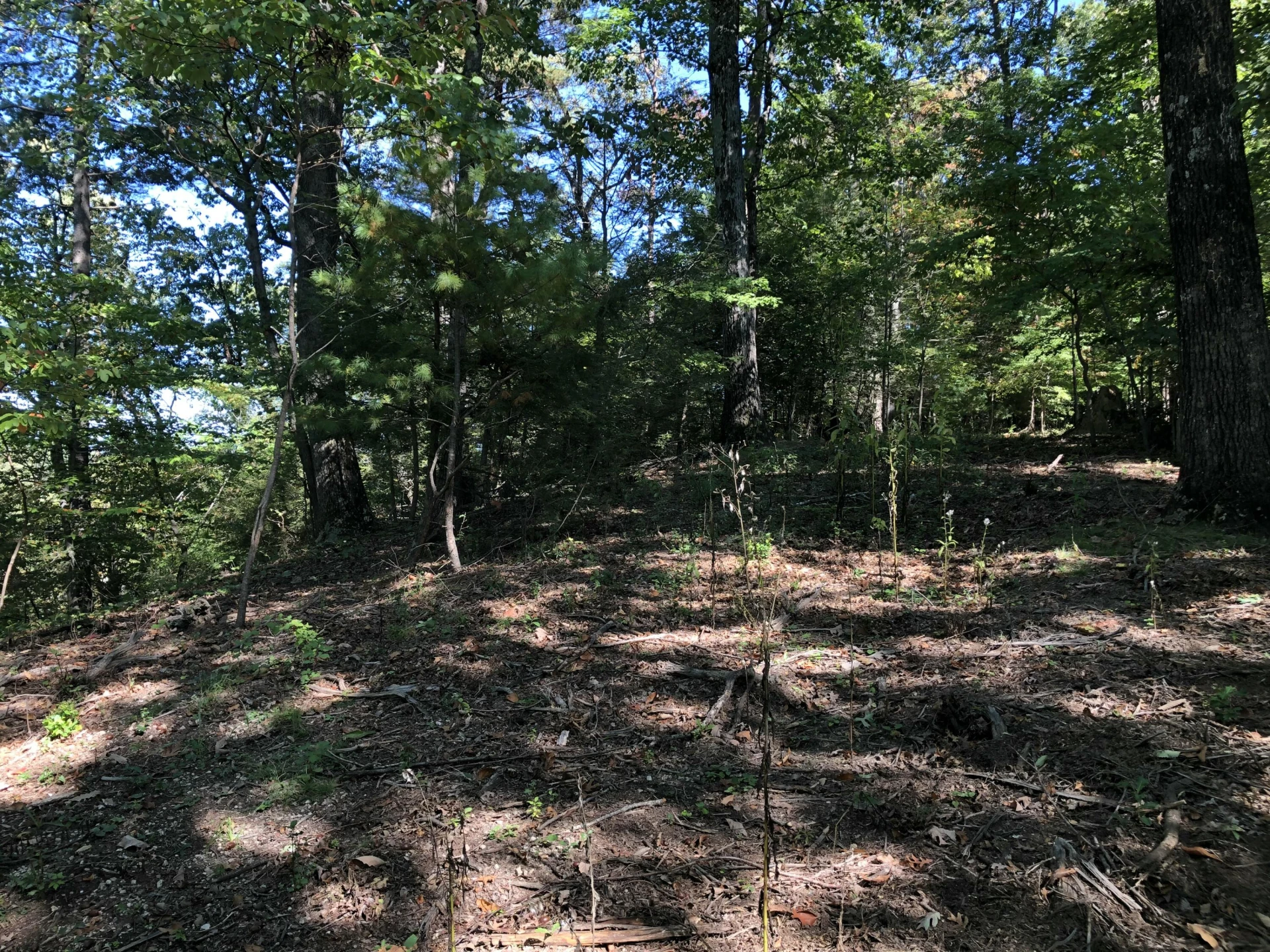 3287 Green Ridge RD - Photo 16