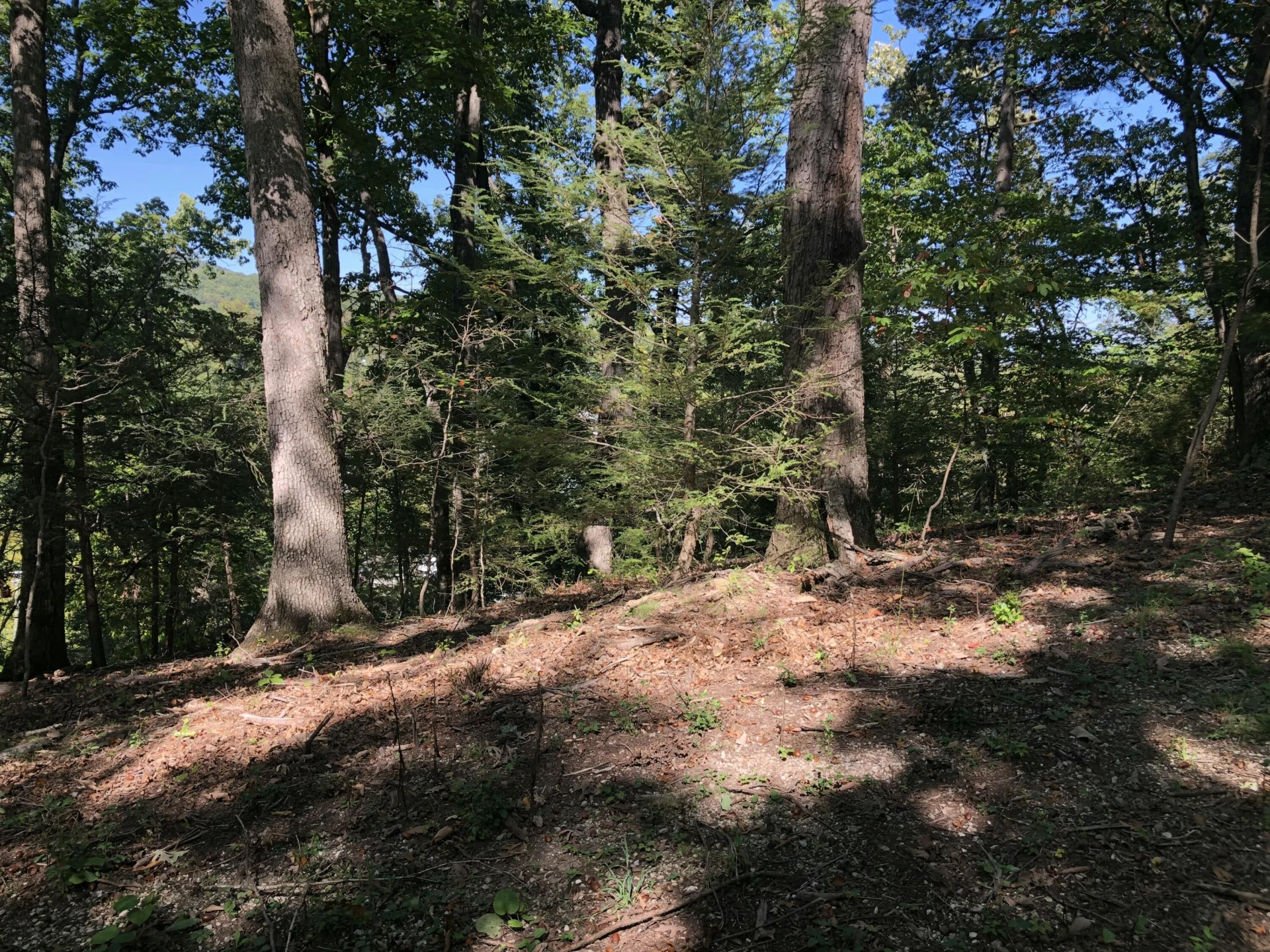 3287 Green Ridge RD - Photo 17