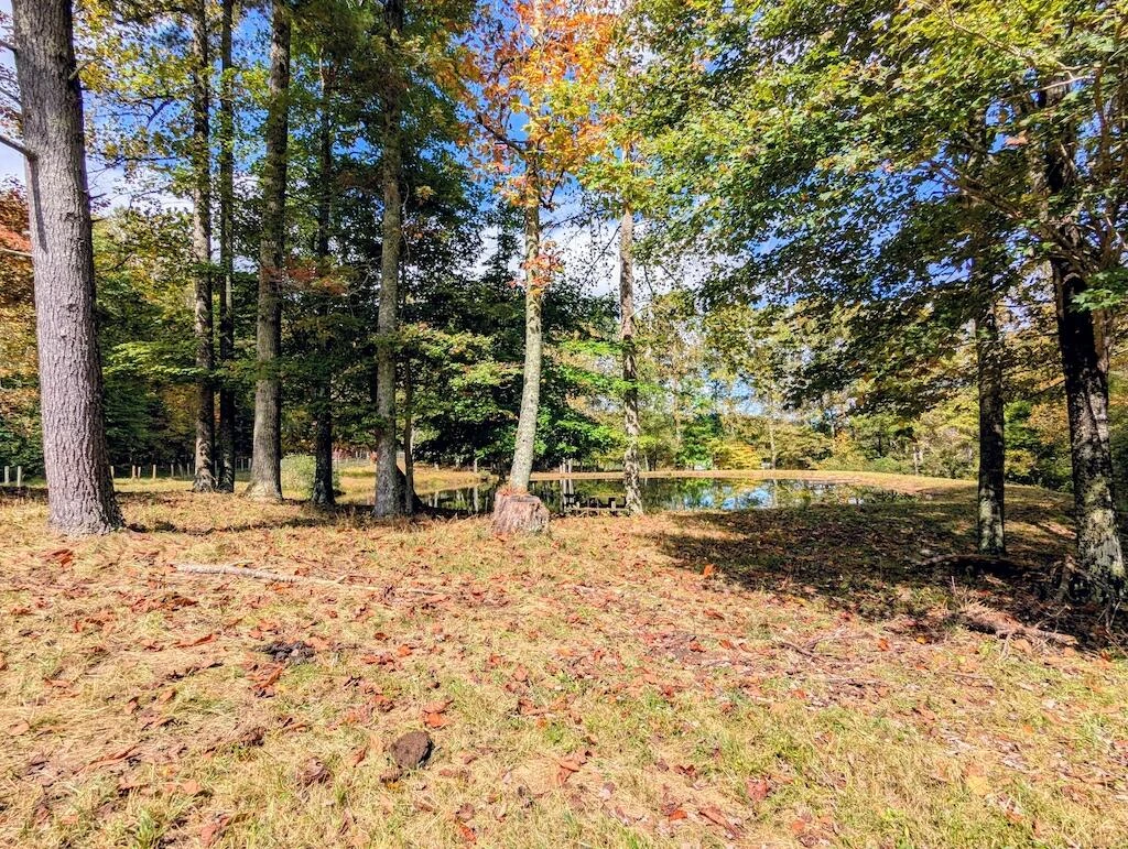 173 Hubbard RD SW - Photo 12