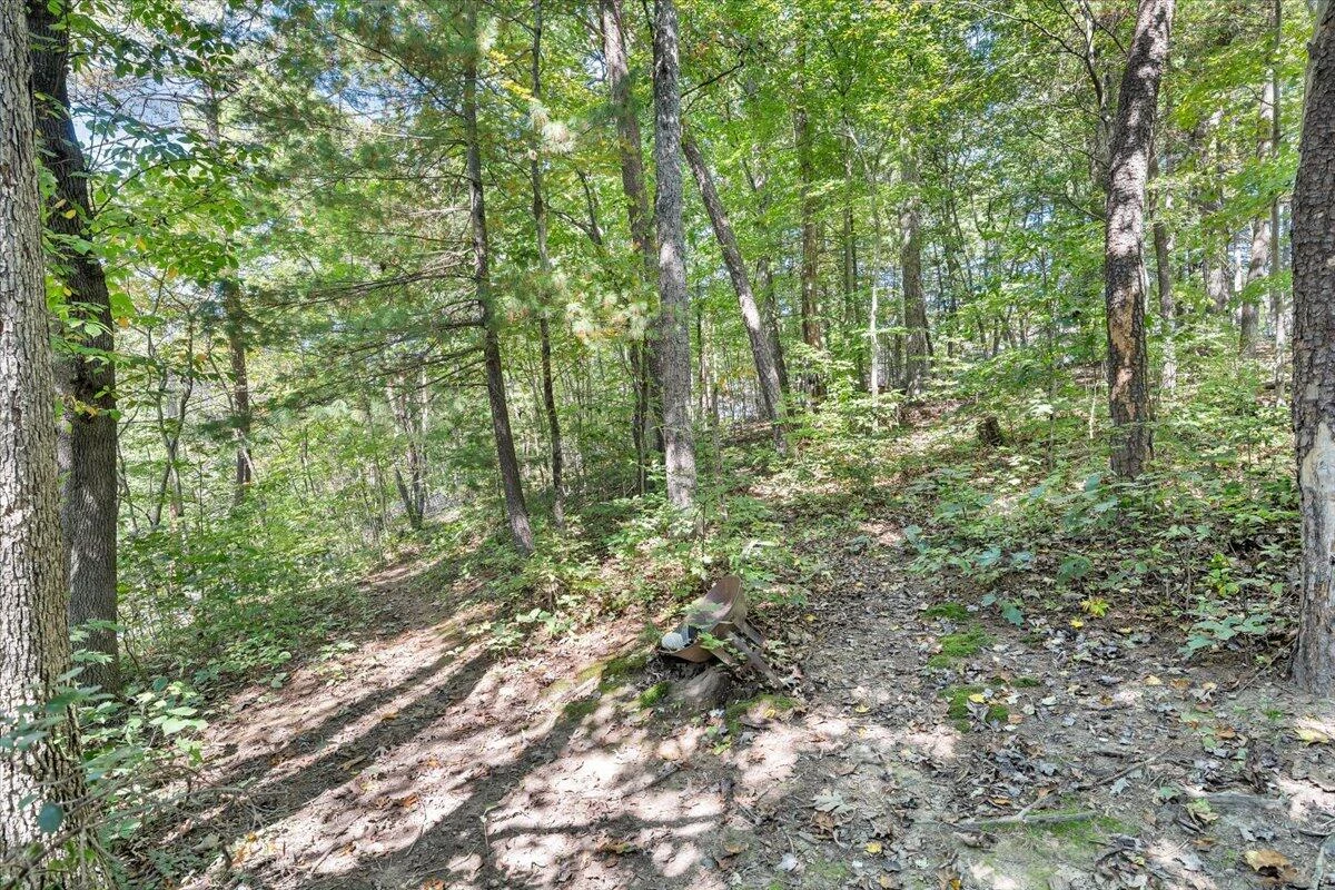 5651 North Lake DR - Photo 58