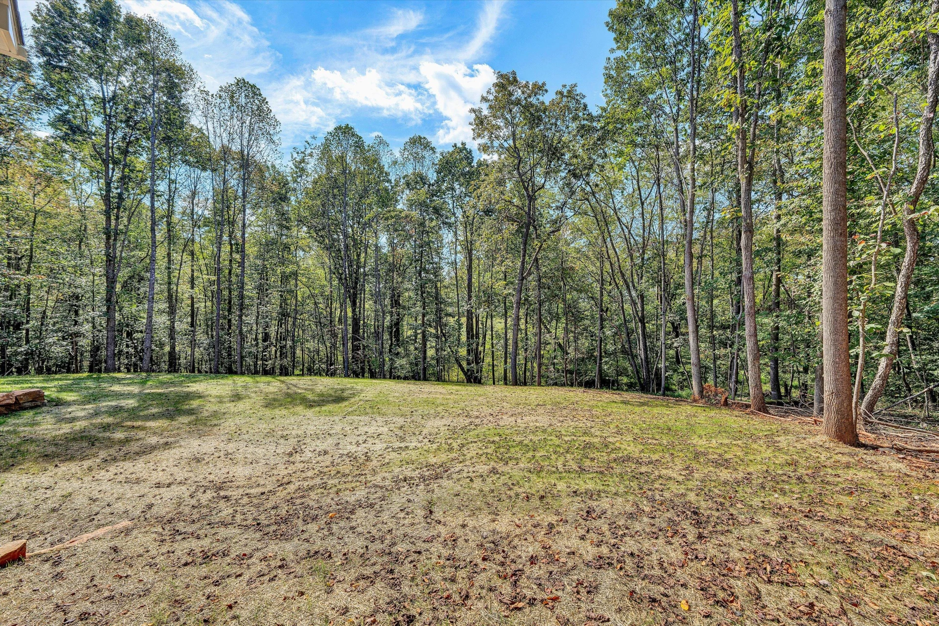 1009 Jewel TRL - Photo 31