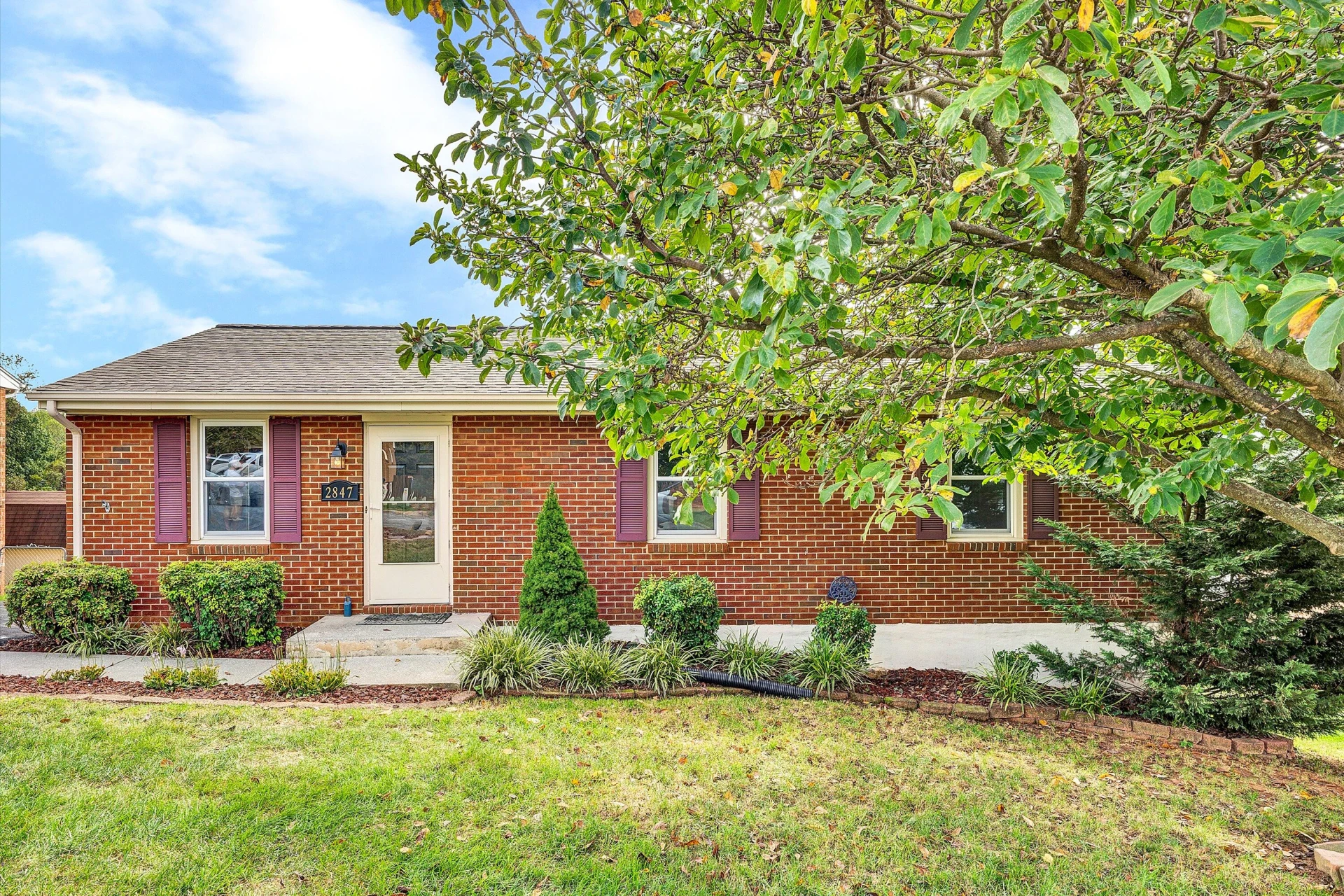 2847 Tulip LN - Photo 2
