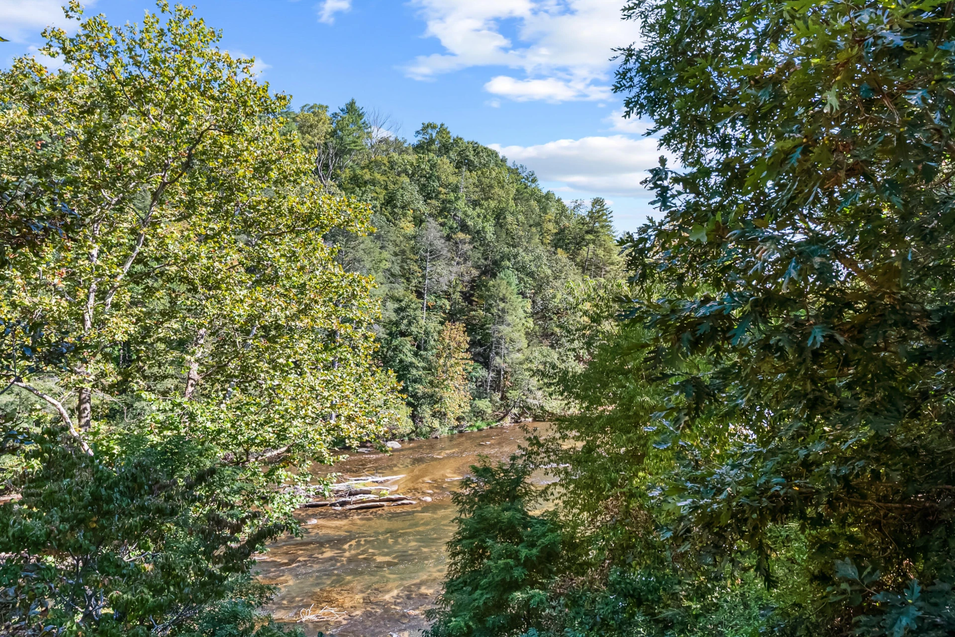 6286 Chestnut Ridge RD - Photo 43